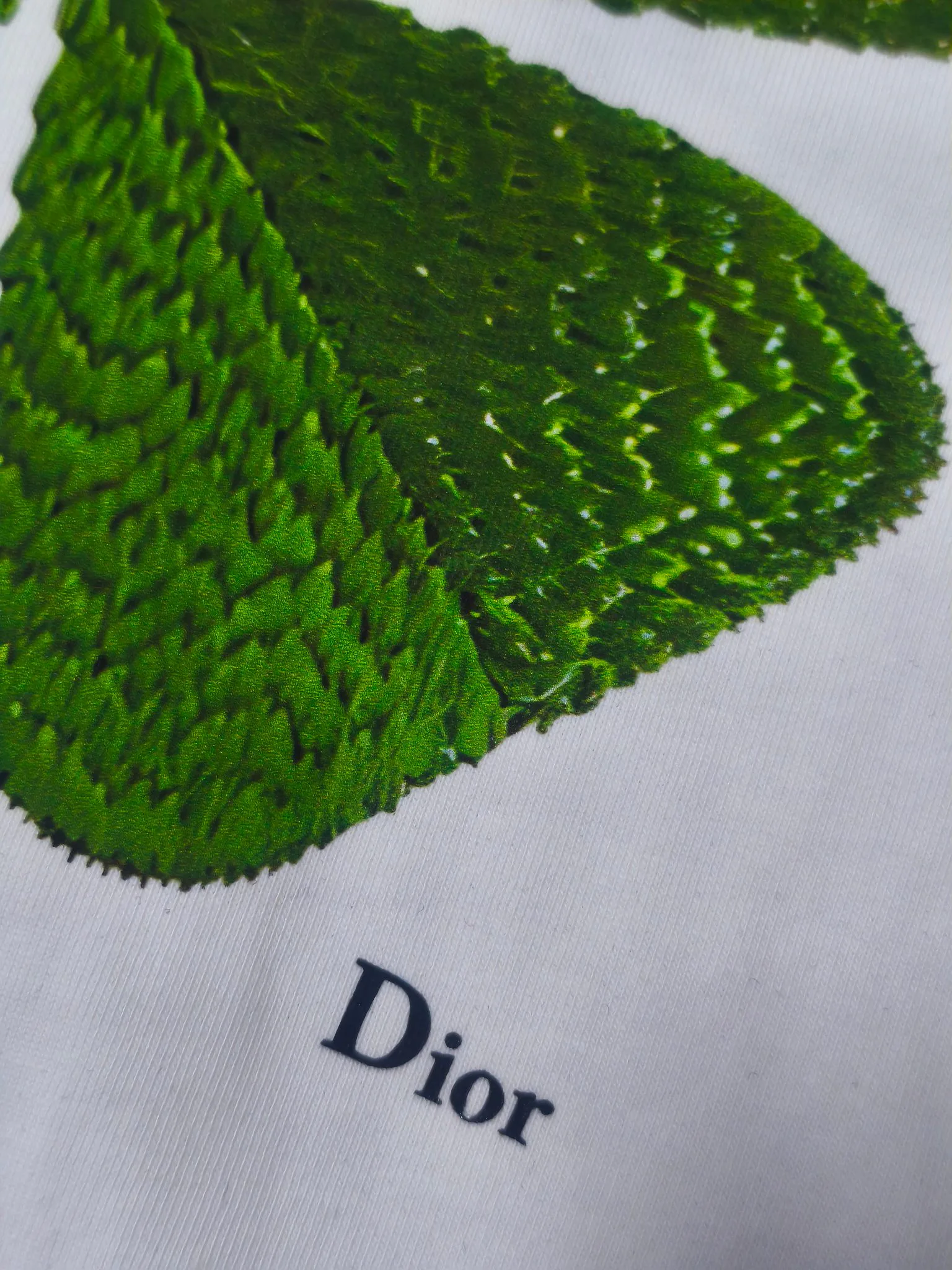 Футболки Женские Christian Dior 5069002