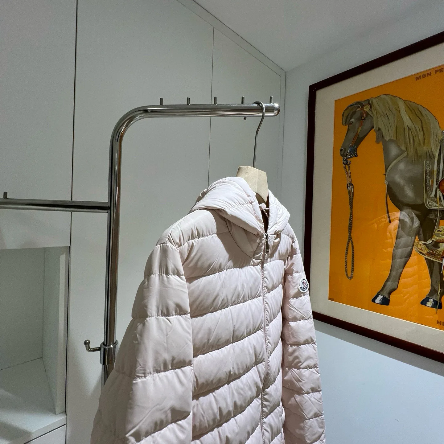 Куртки И Пуховики Женские Moncler 18180099