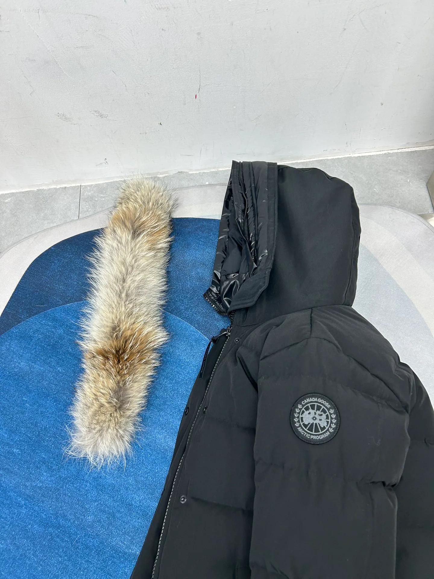 Куртки И Пуховики Женские Canada Goose 18188607