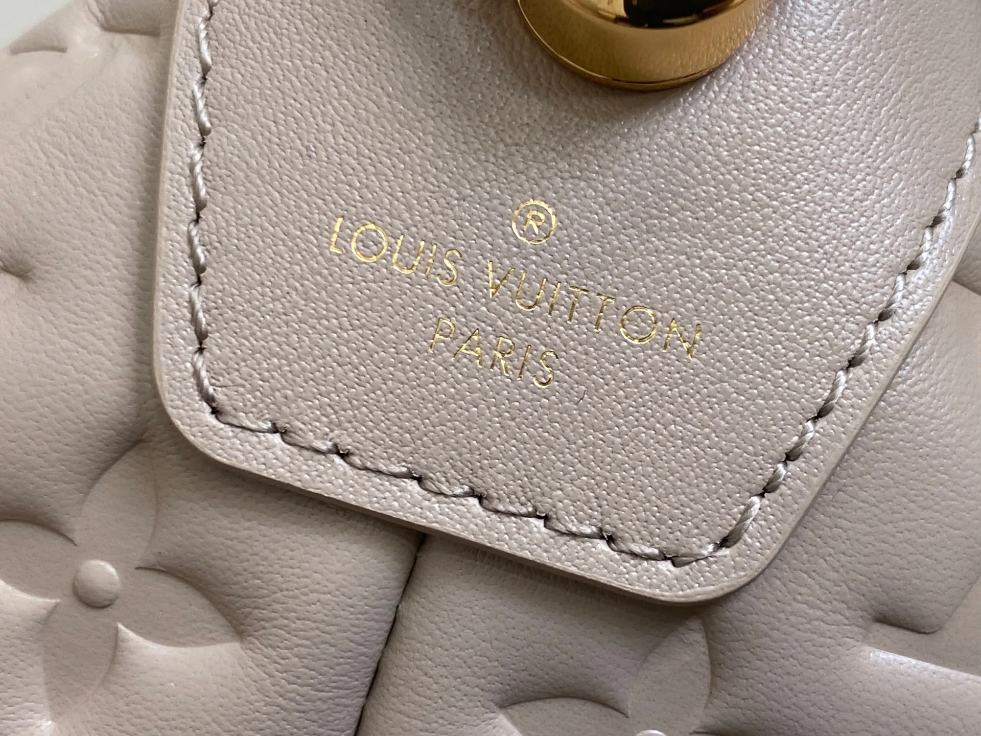 Сумки На Ремне Женские Louis Vuitton 10963