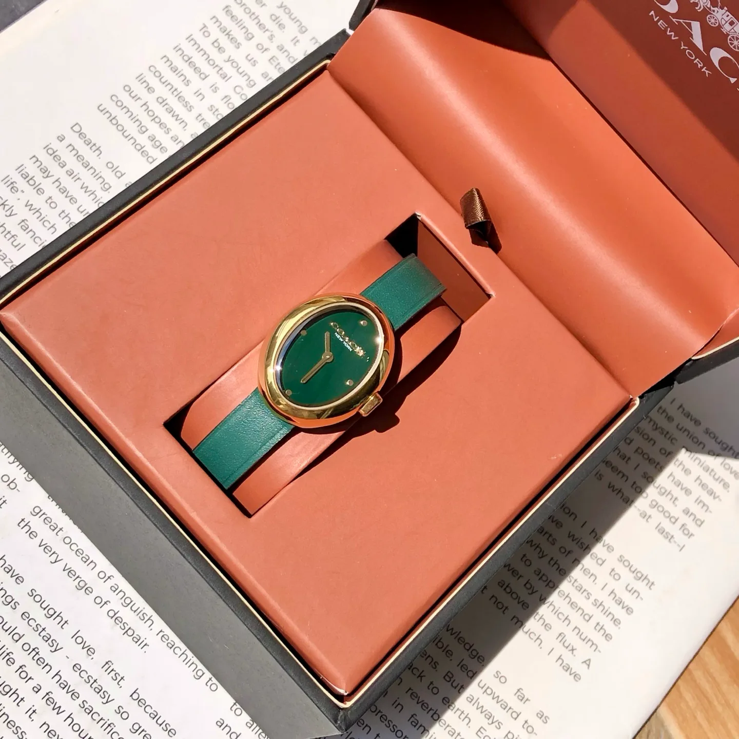 Часы Женские Coach 449049