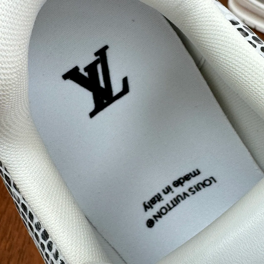 Кроссовки Мужские Louis Vuitton 5892088