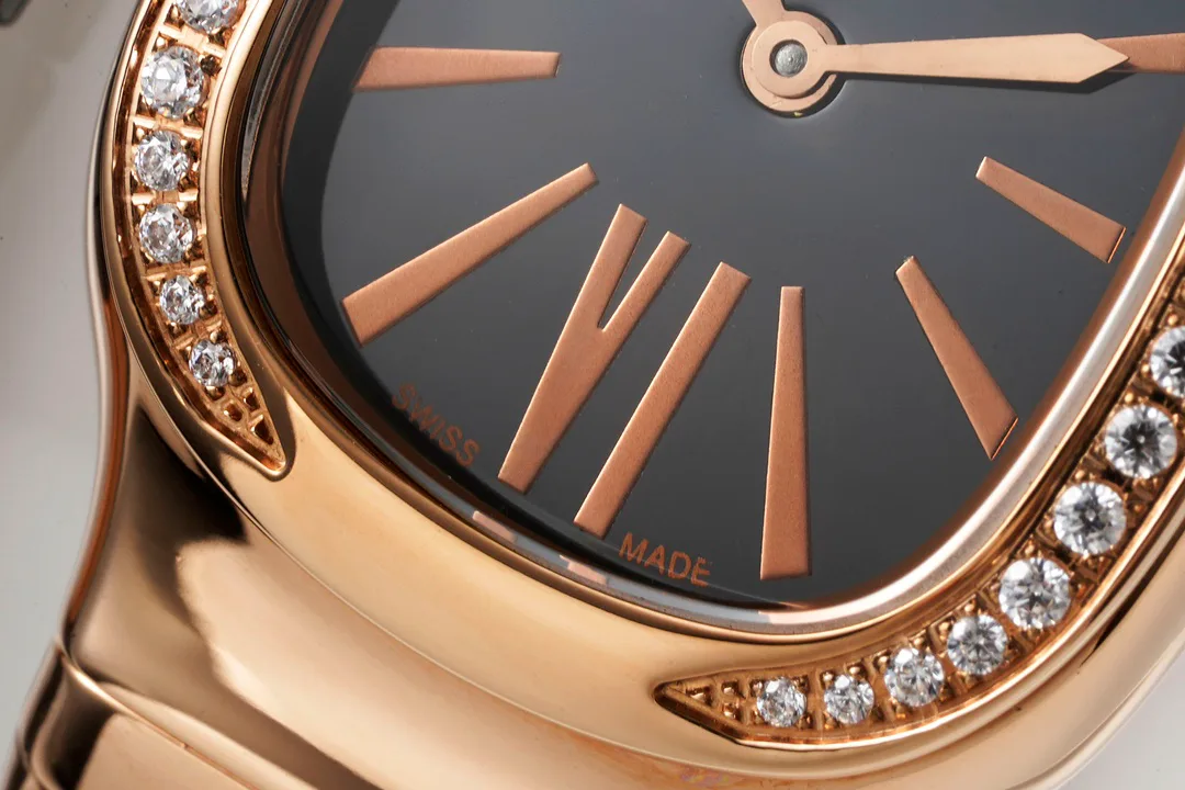 Часы Женские Bvlgari 11637387