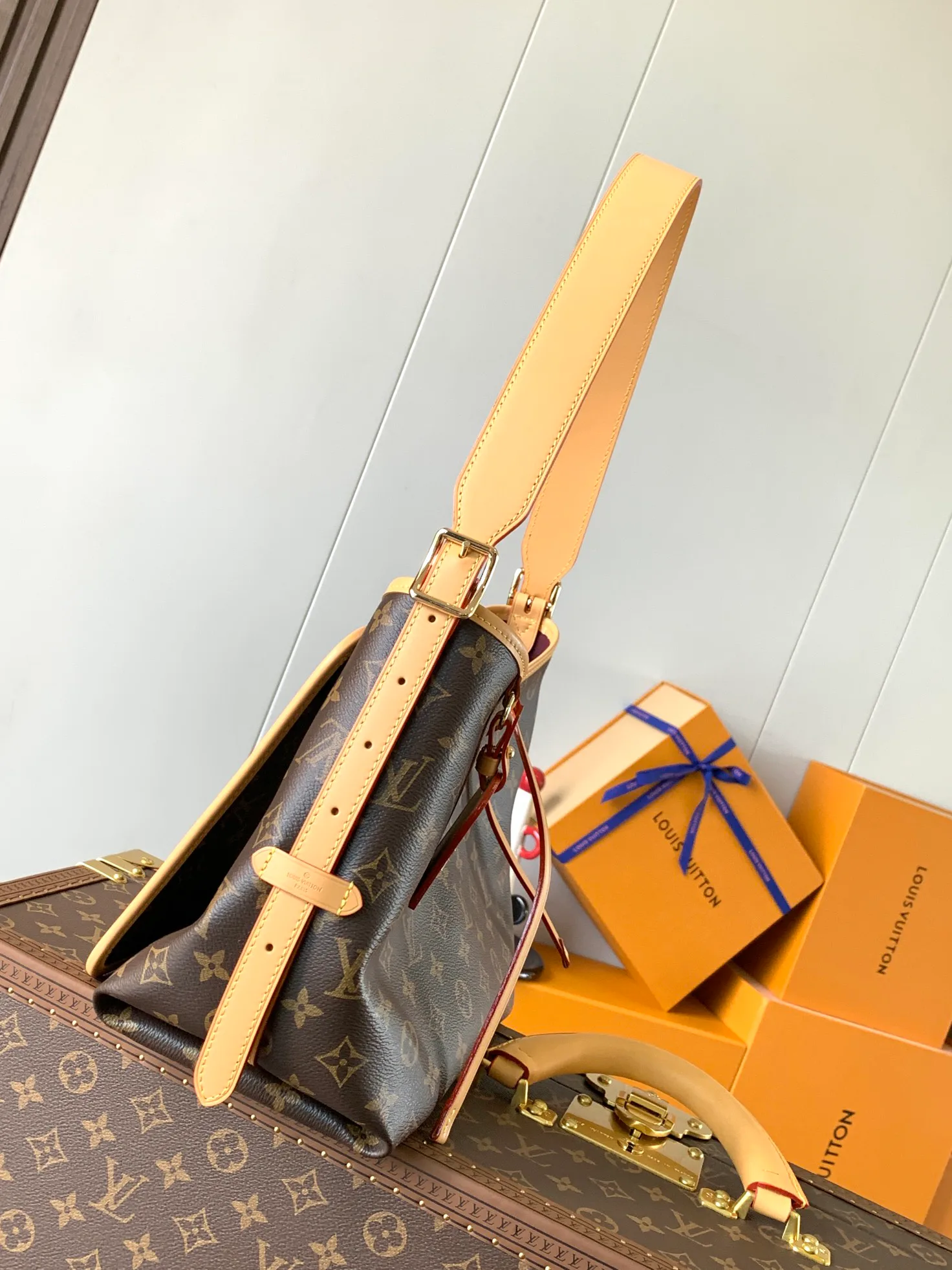 Классические Сумки Женские Louis Vuitton 11394877