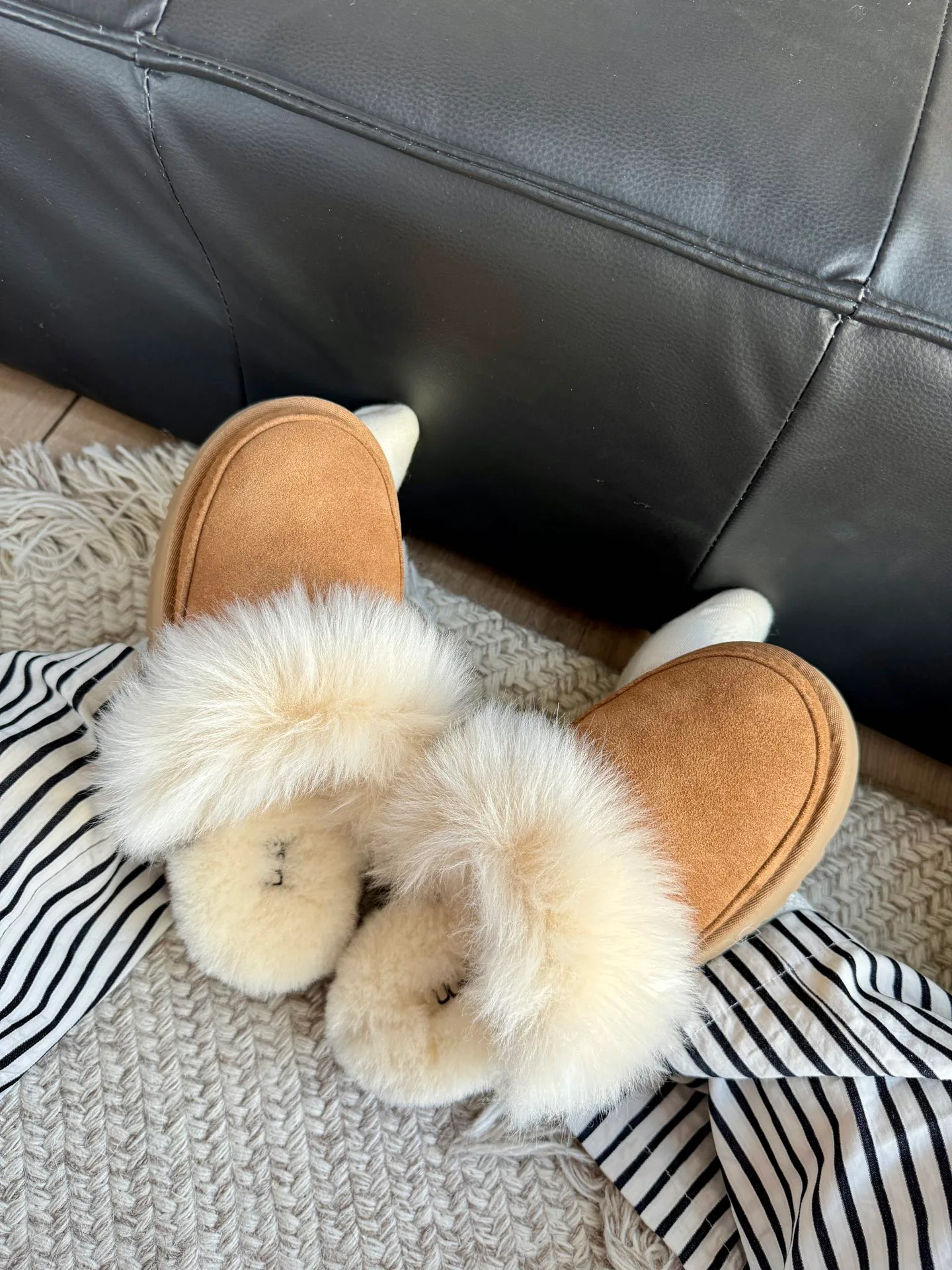 Тапочки Женские Ugg 282079