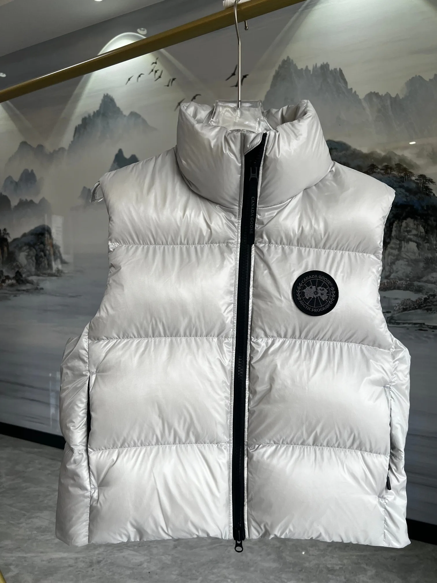 Жилеты Женские Canada Goose 2162189