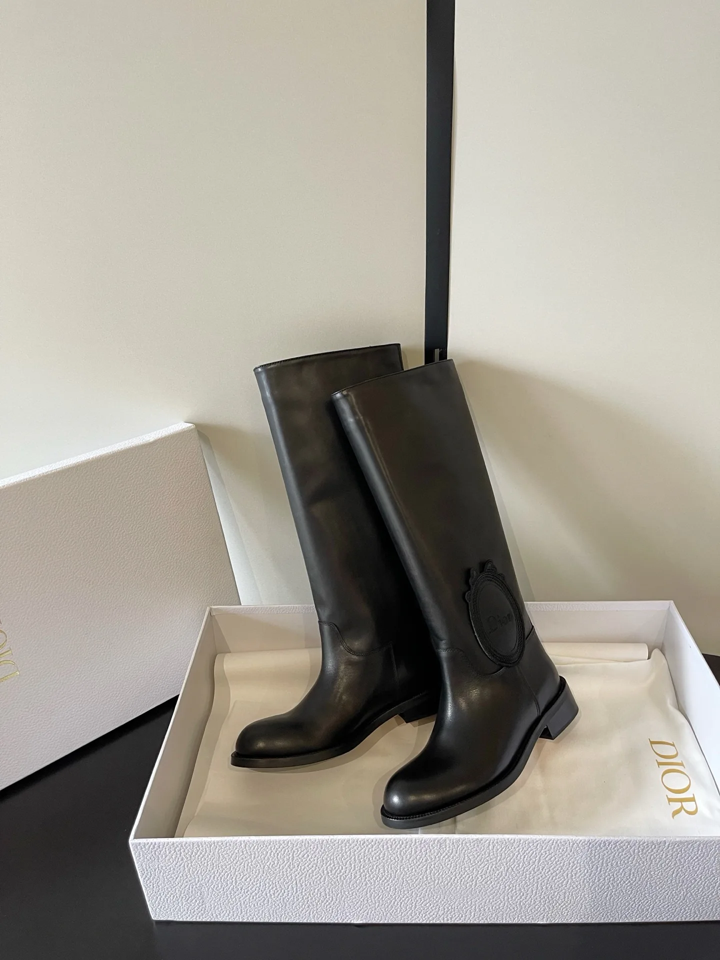 Сапоги Женские Christian Dior 18260388