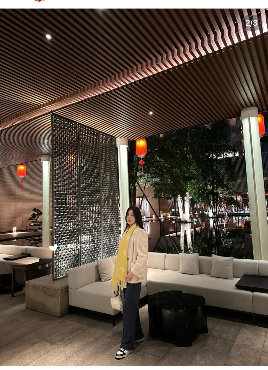 Шарфы Louis Vuitton 12034