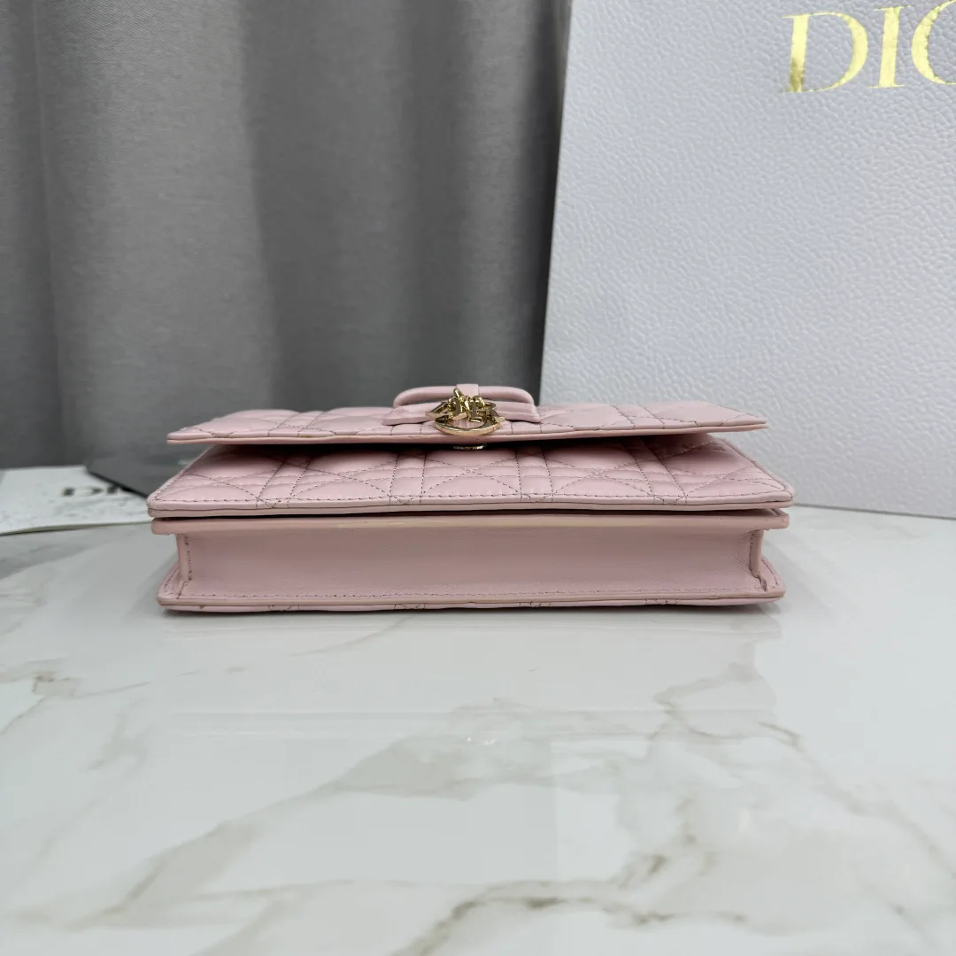 Классические Сумки Женские Christian Dior 12594755