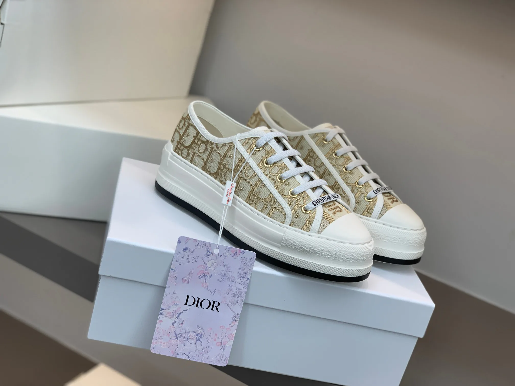 Кроссовки Женские Christian Dior 19515396