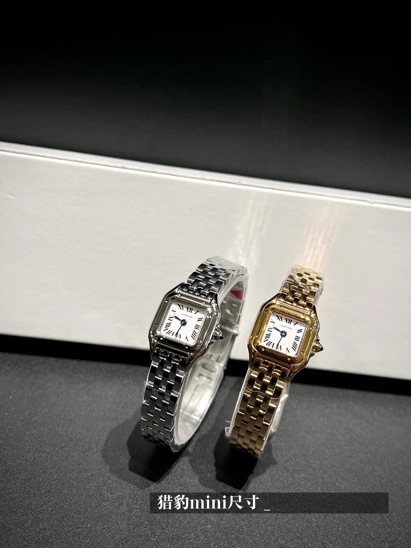 Часы Женские Cartier 12721795