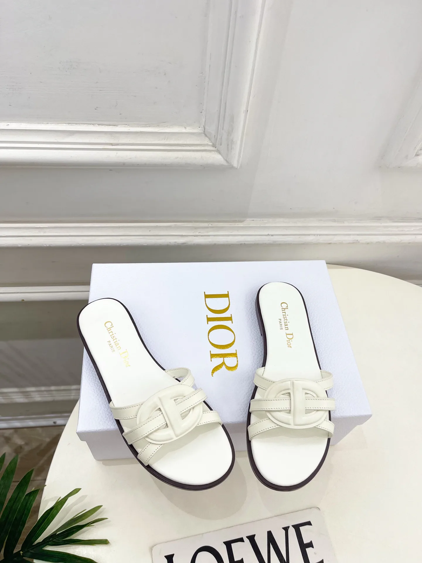 Туфли Женские Christian Dior 12601461