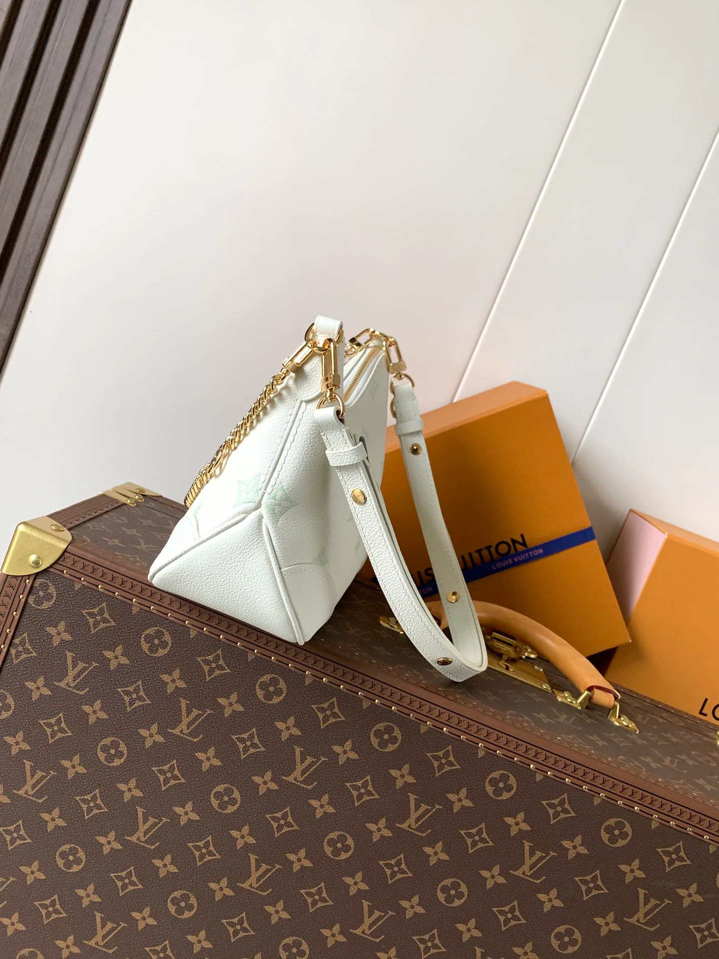 Классические Сумки Женские Louis Vuitton 11872291