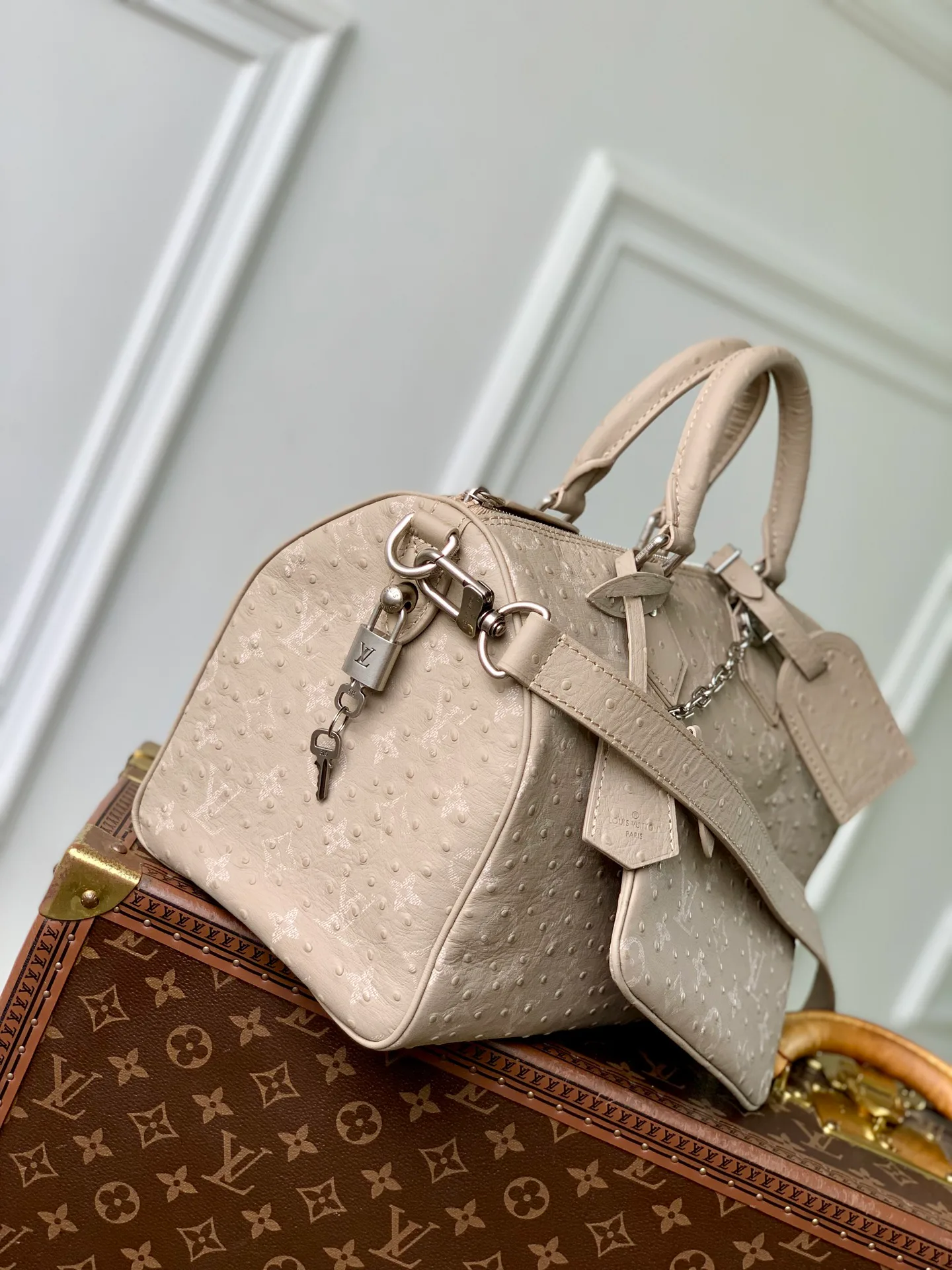 Классические Сумки Женские Louis Vuitton 18147441