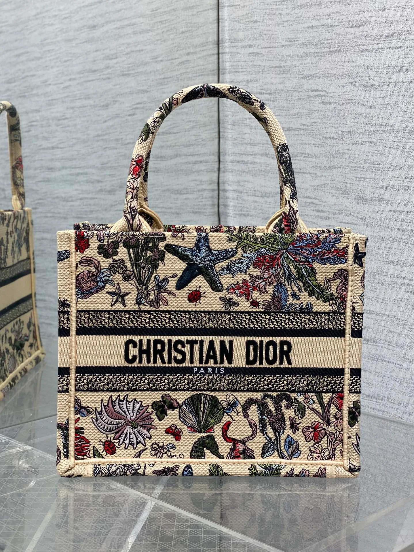 Классические Сумки Женские Christian Dior 13227184
