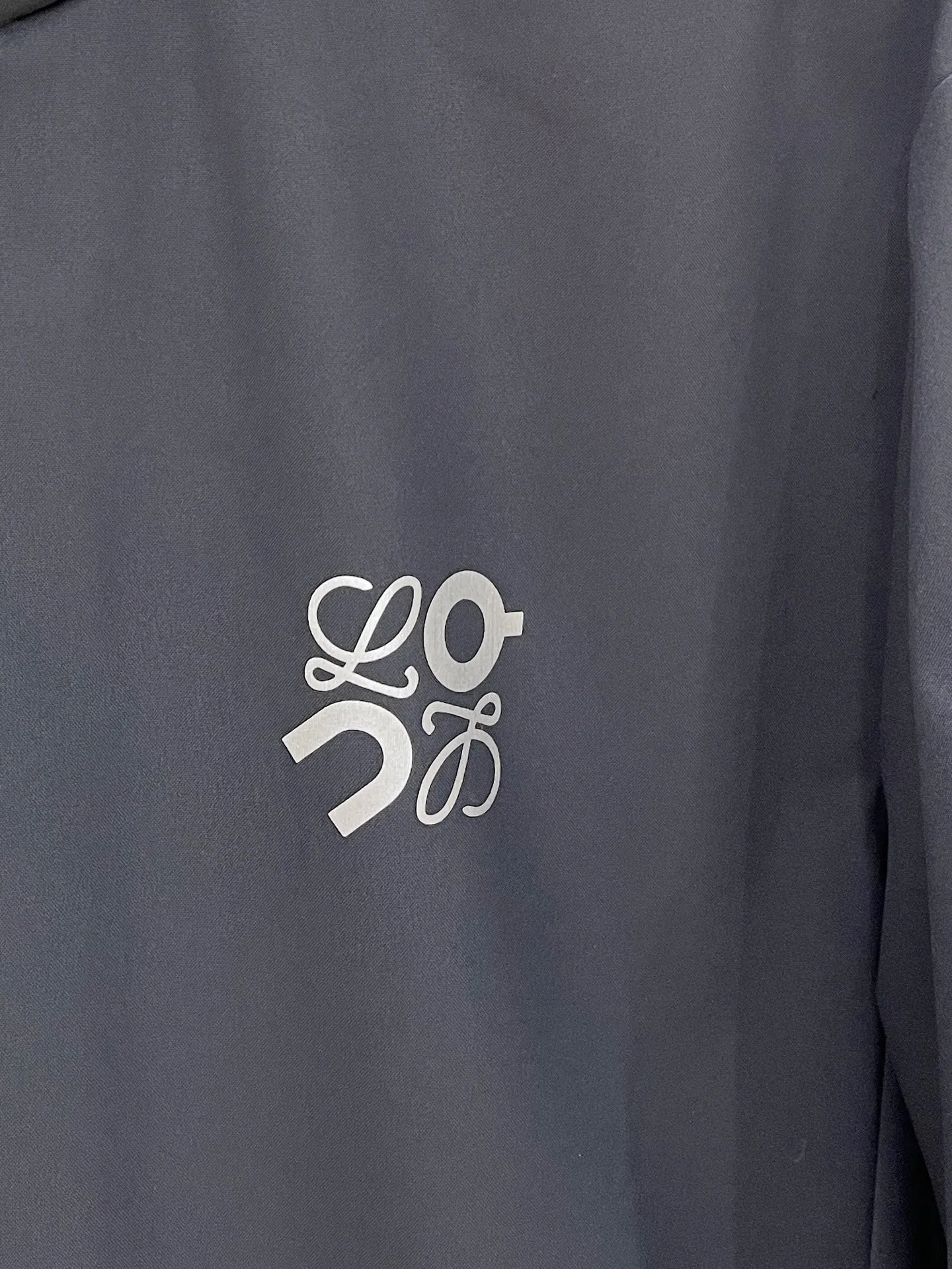 Куртки И Пуховики Мужские Loewe 510138