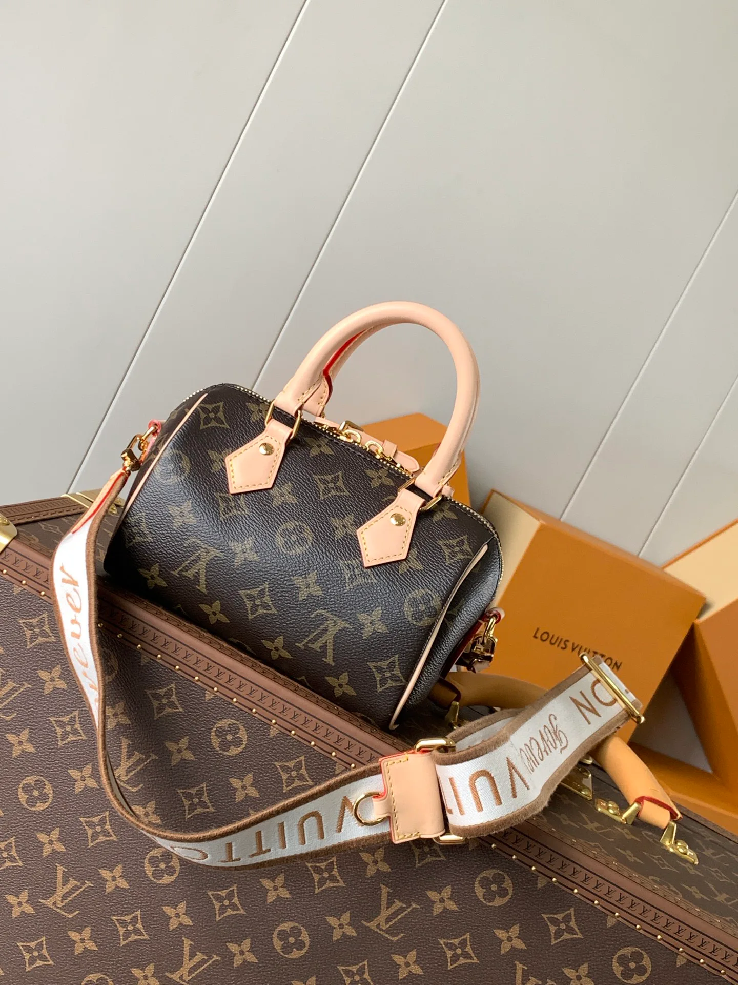 Клатчи Женские Louis Vuitton 11488647