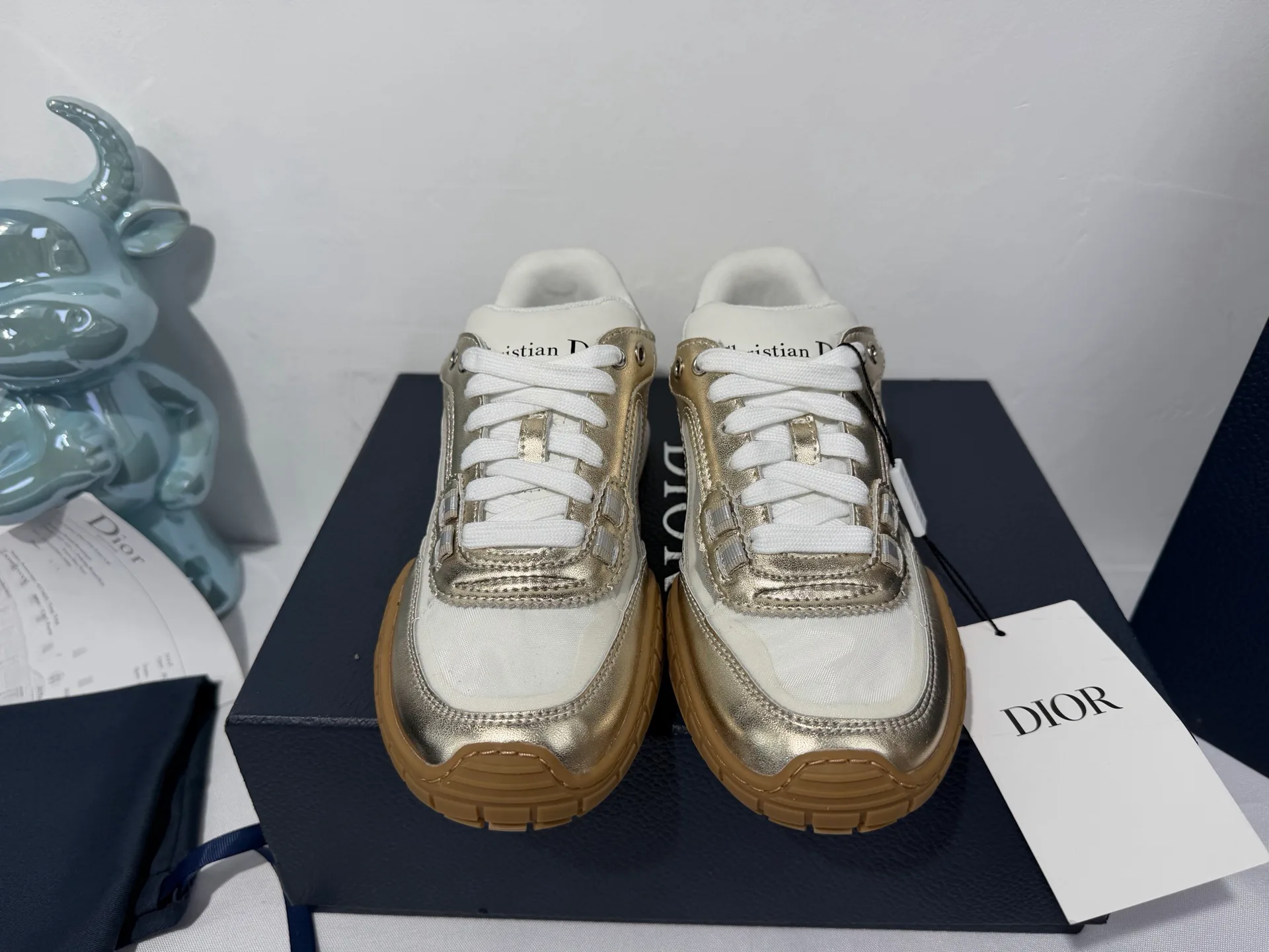 Кроссовки Женские Christian Dior 4705668