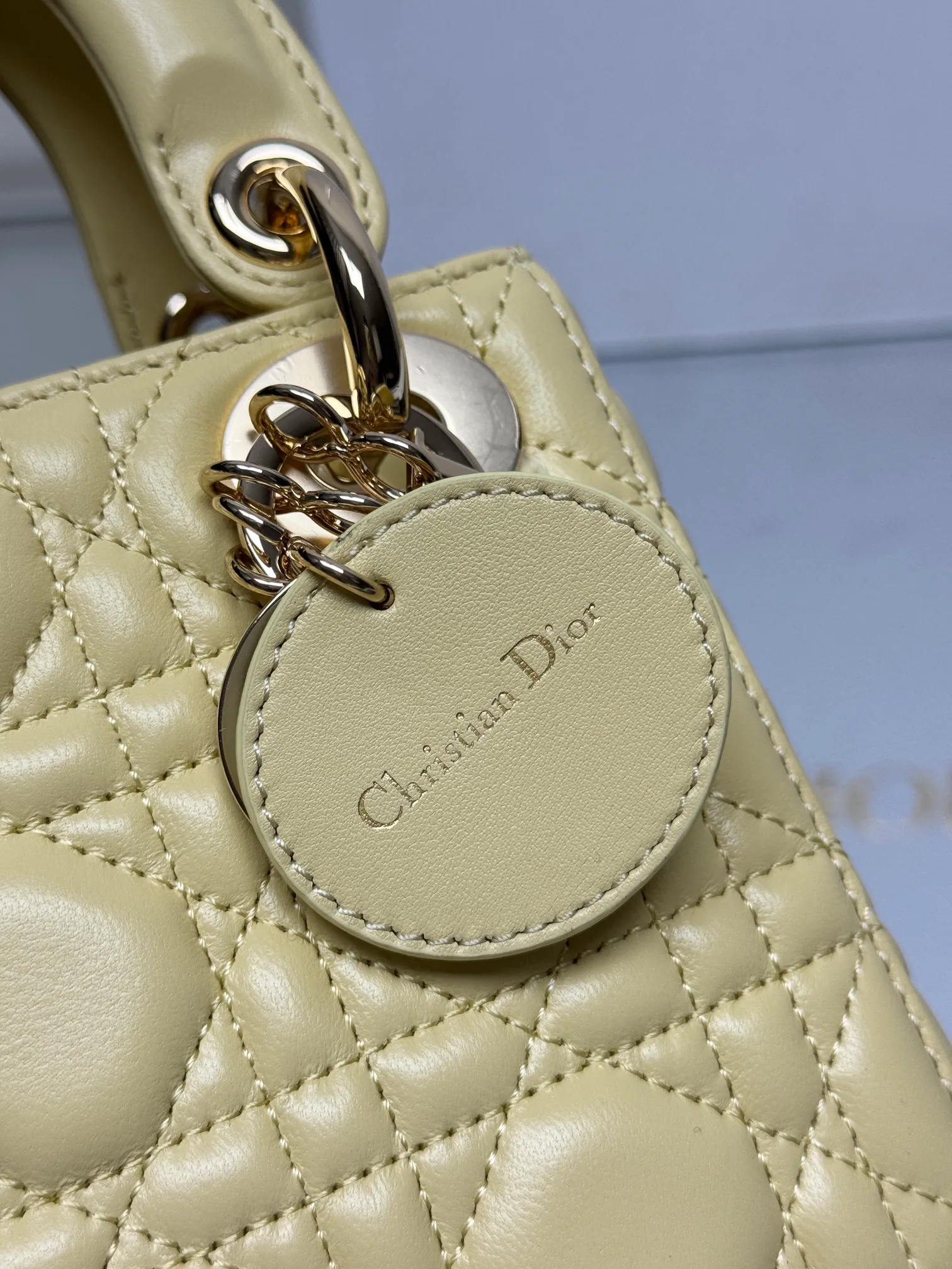 Классические Сумки Женские Christian Dior 17601467