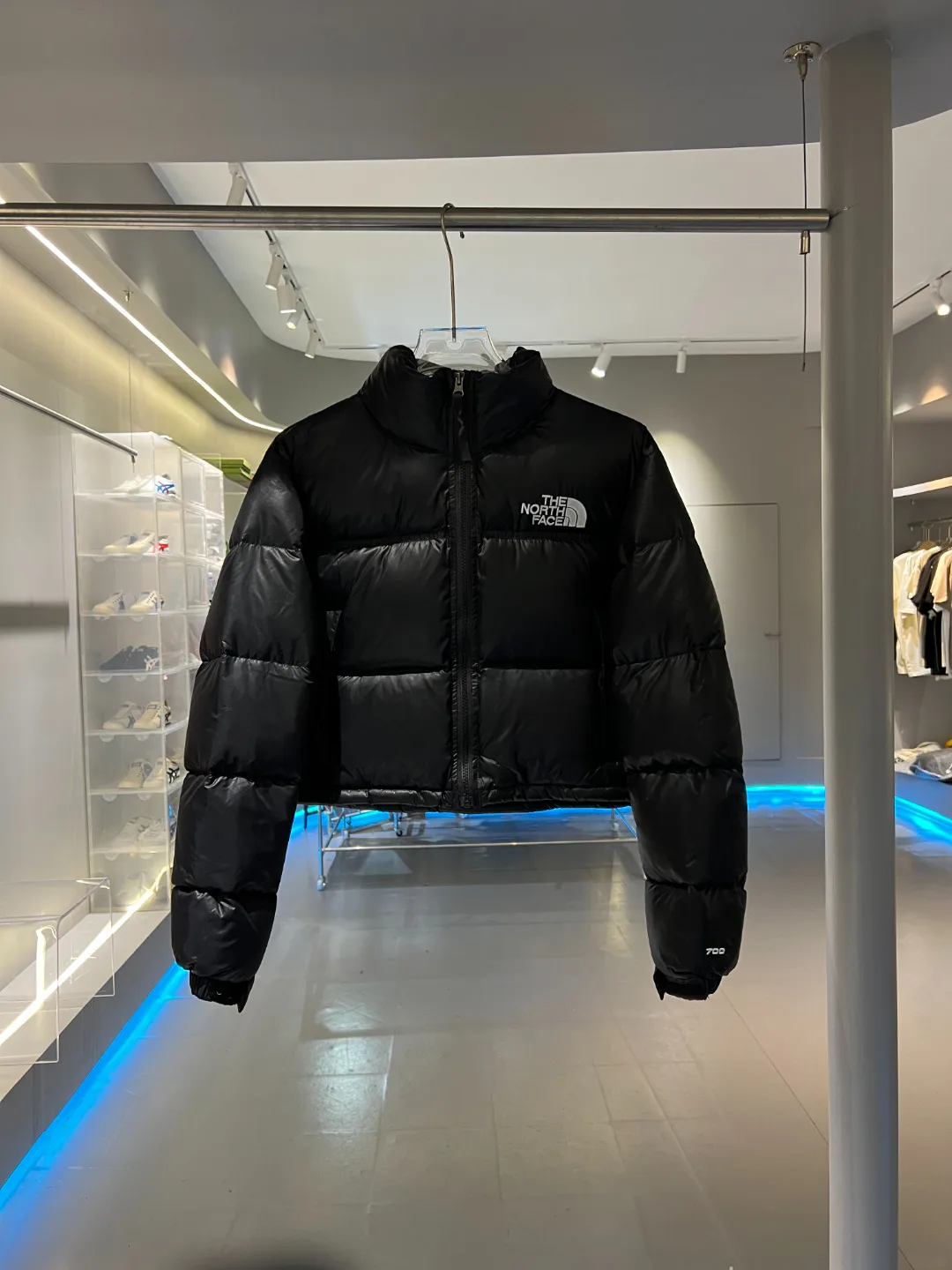 Куртки И Пуховики Женские The North Face 18645488