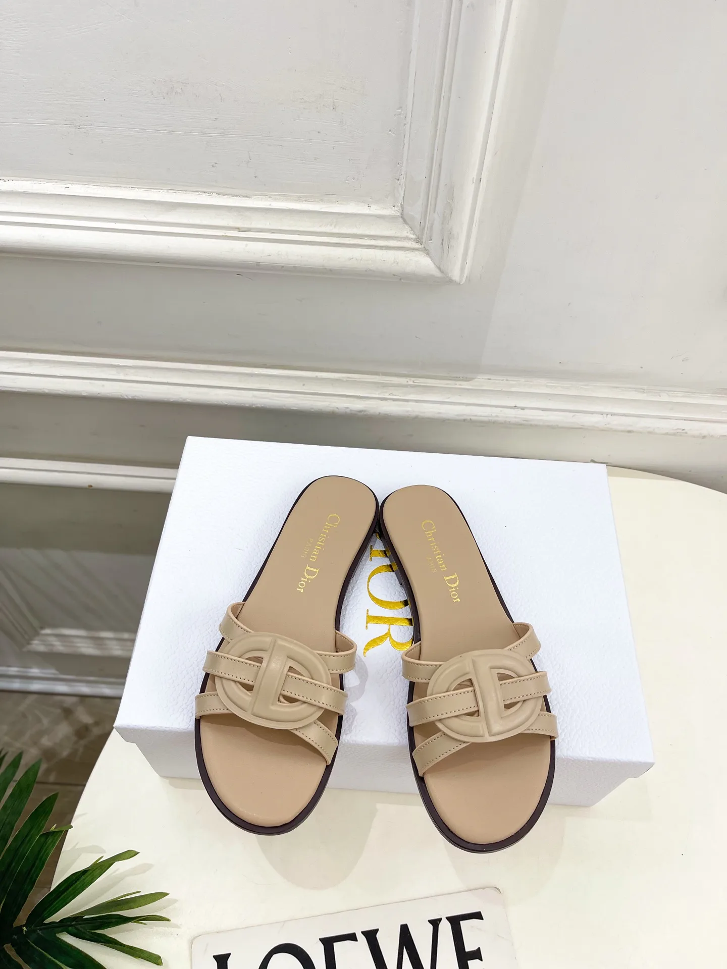 Туфли Женские Christian Dior 12601459