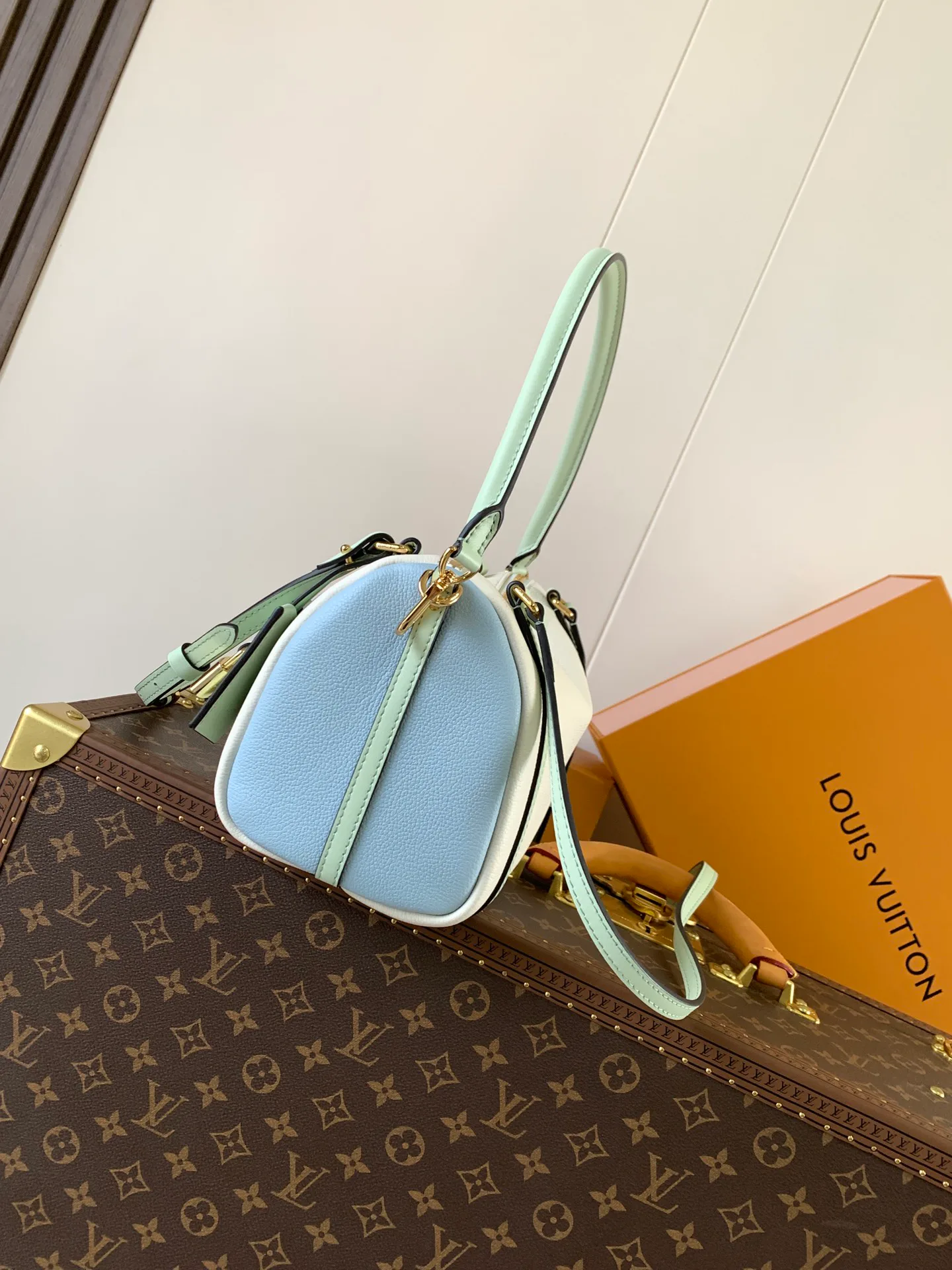 Классические Сумки Женские Louis Vuitton 11394895