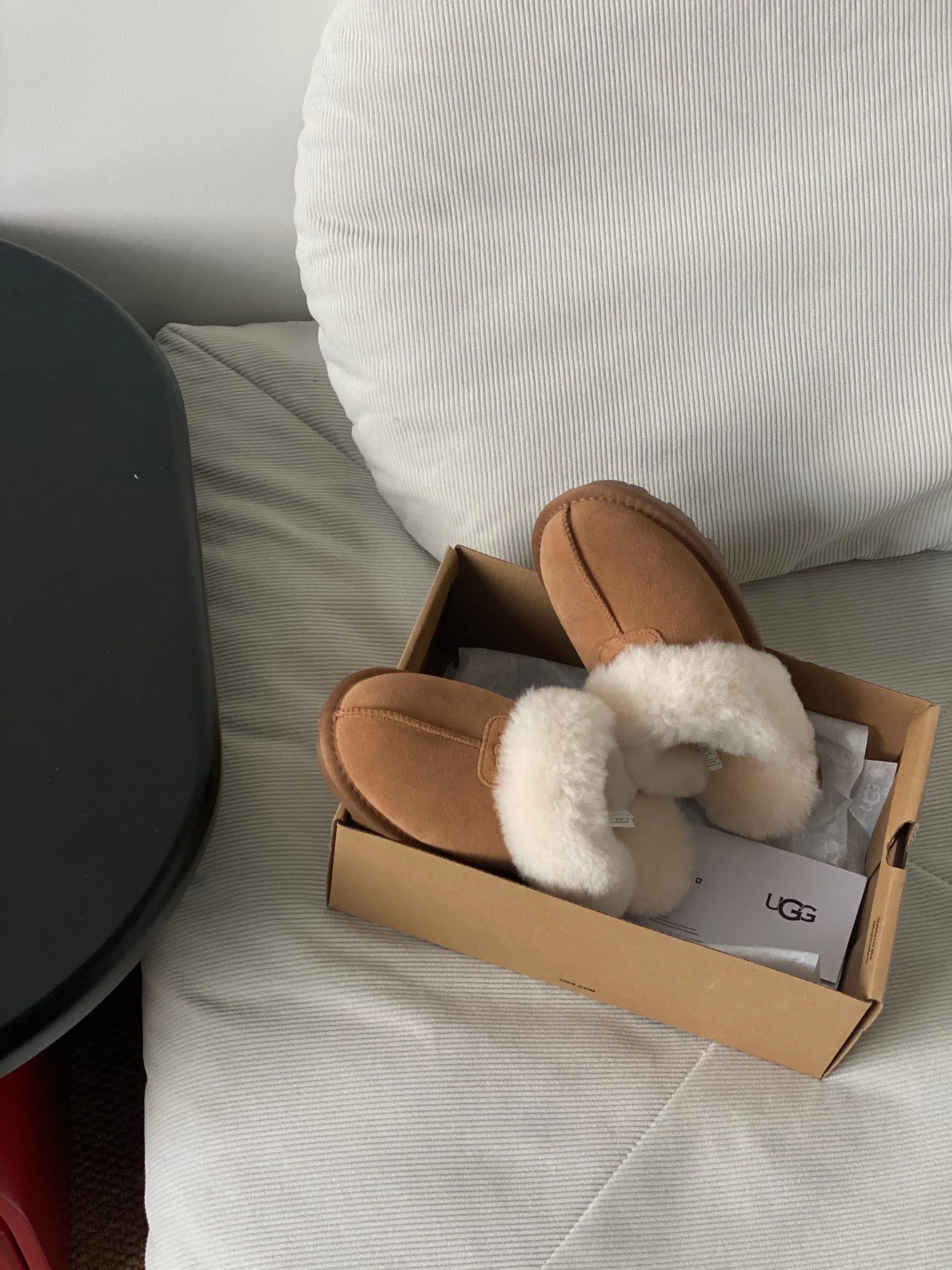 Тапочки Мужские Ugg 473501