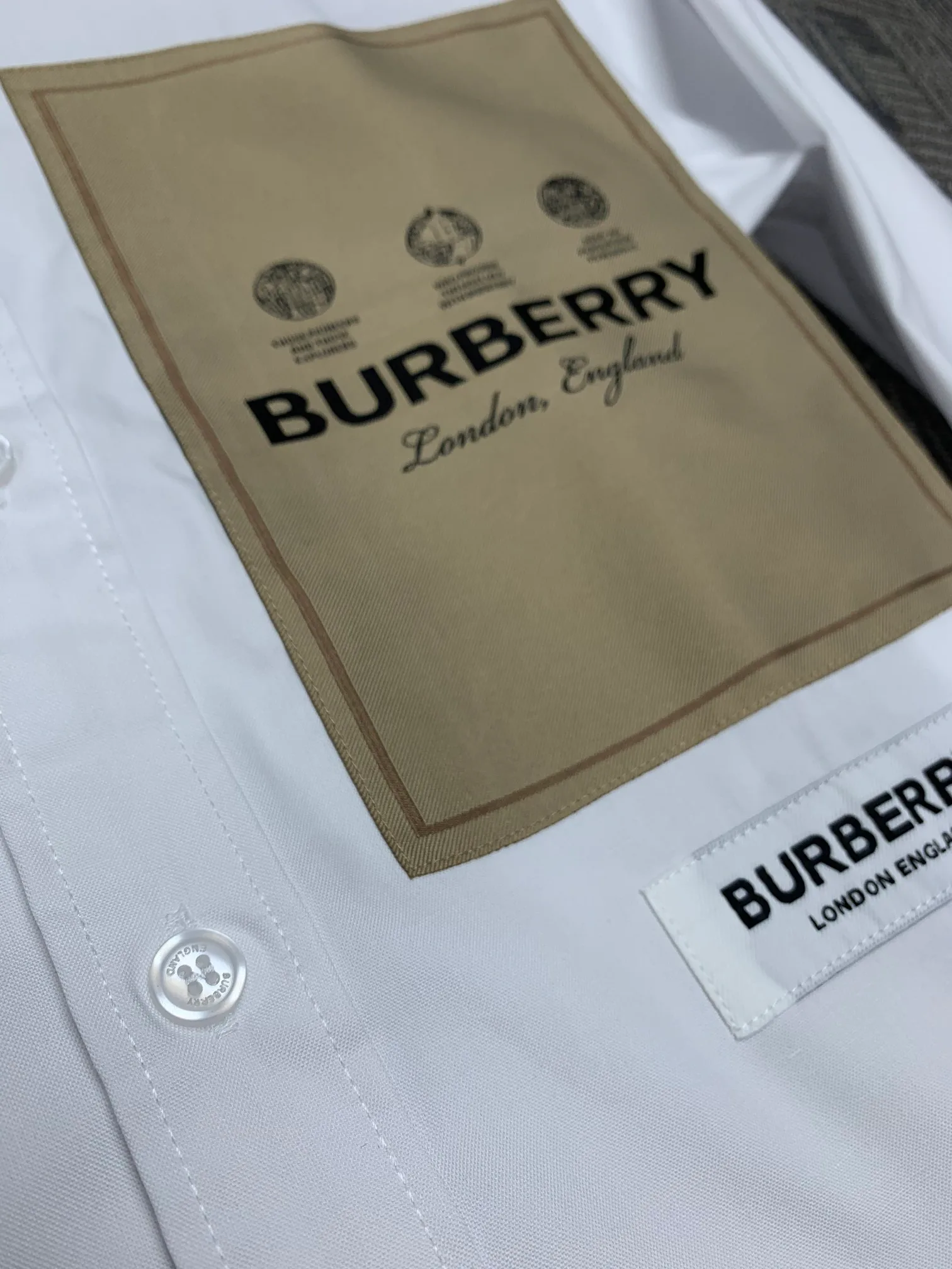 Рубашки Мужские Burberry 17967417