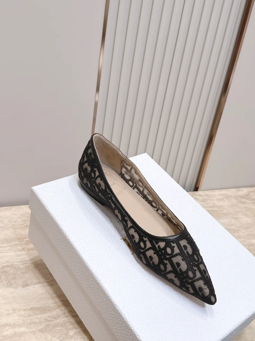 Туфли Женские Christian Dior 18025866