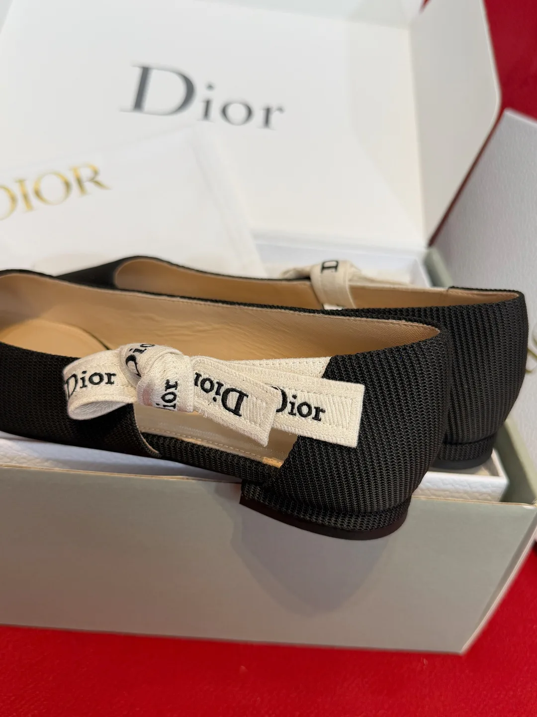Туфли Женские Christian Dior 13569602