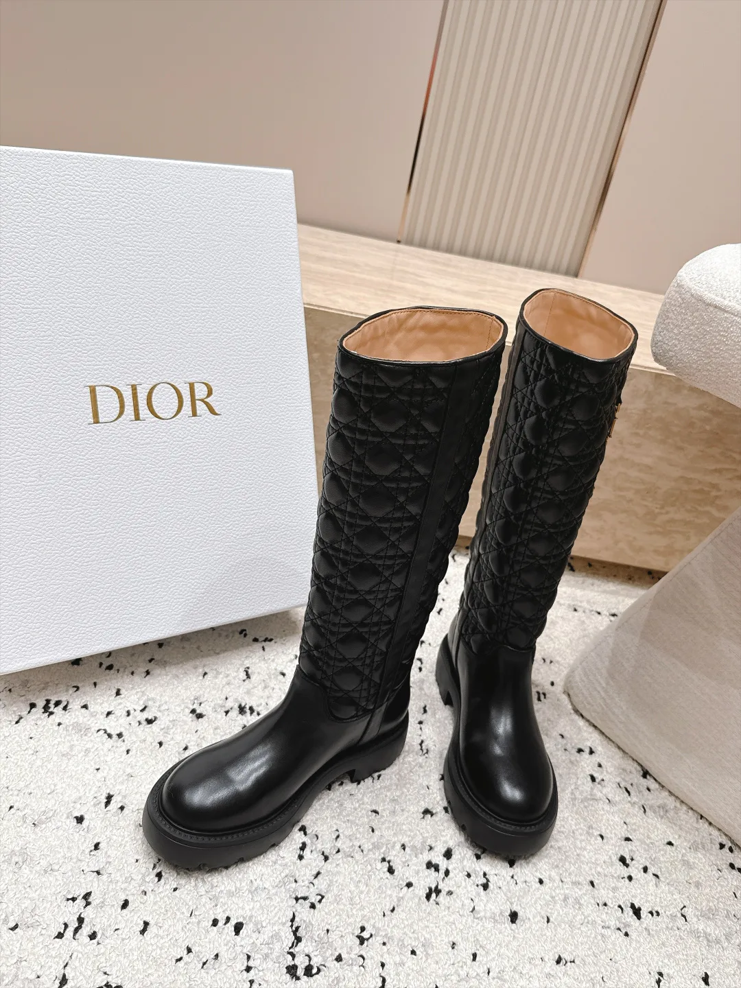 Сапоги Женские Christian Dior 18703220