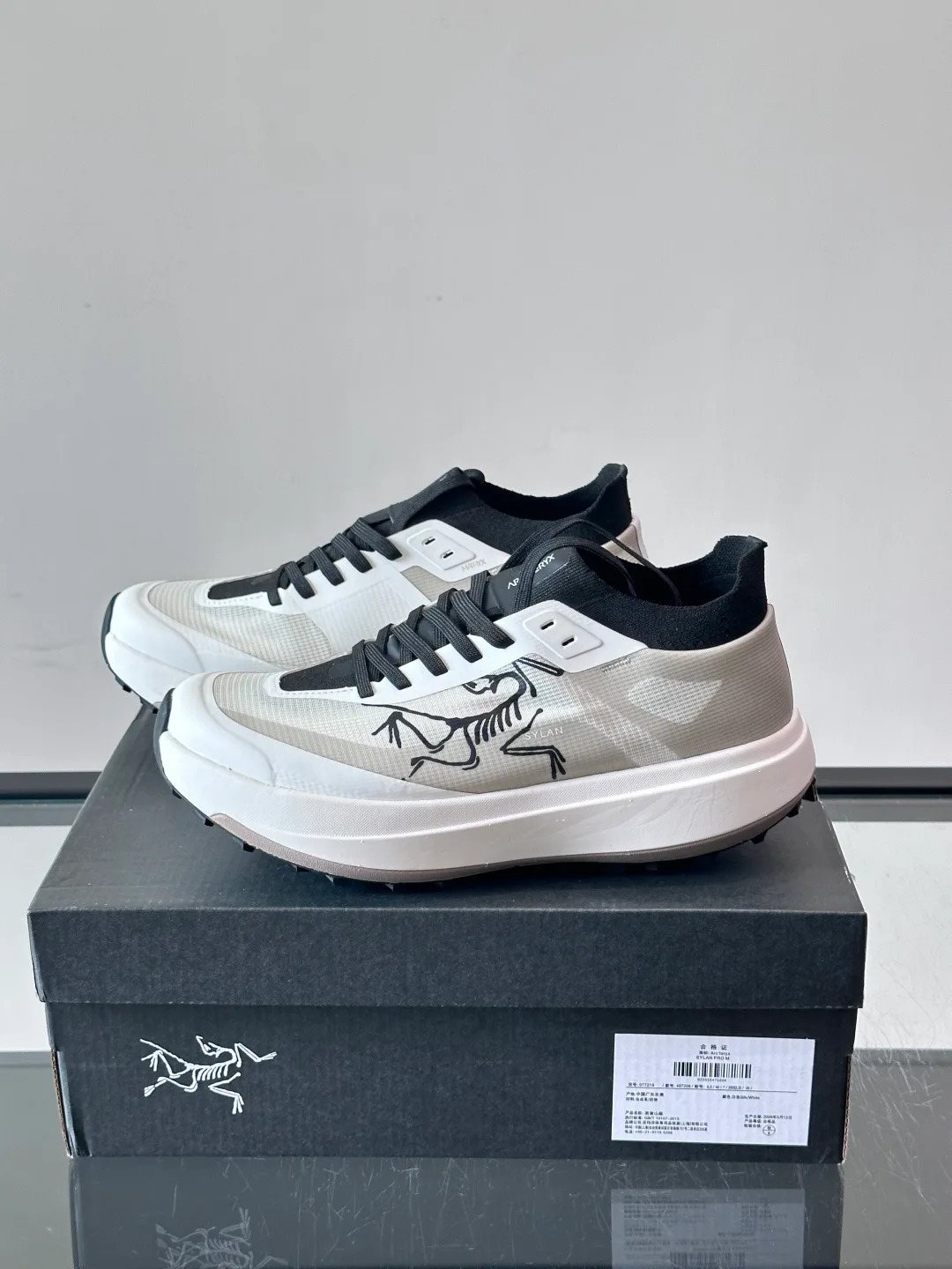 Кроссовки Мужские Arcteryx 17542411