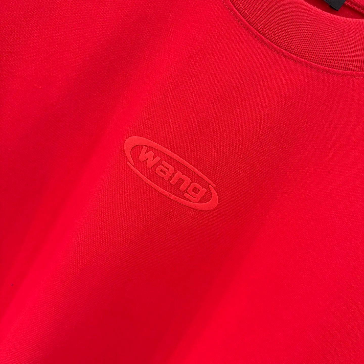 Футболки Женские Alexander Wang 1386648