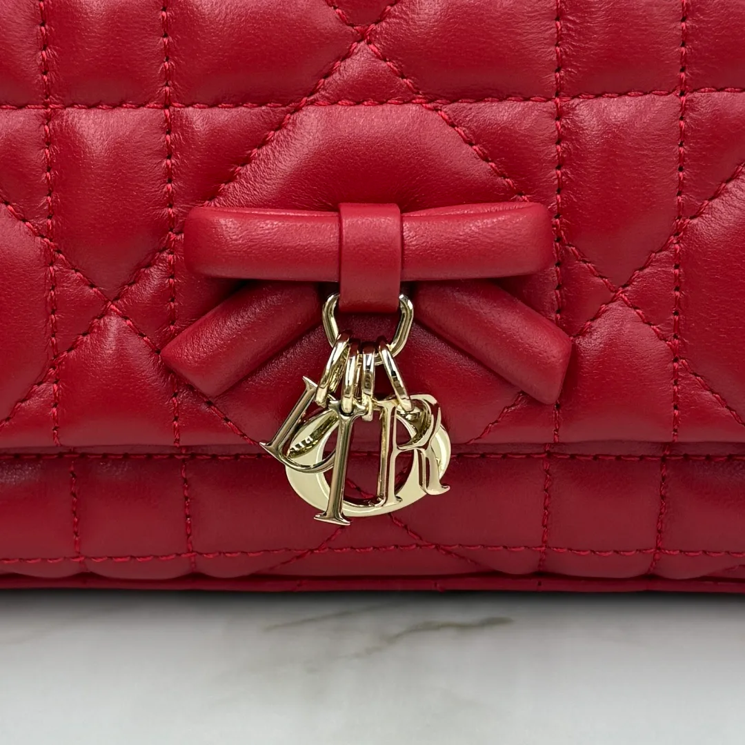 Классические Сумки Женские Christian Dior 16848238