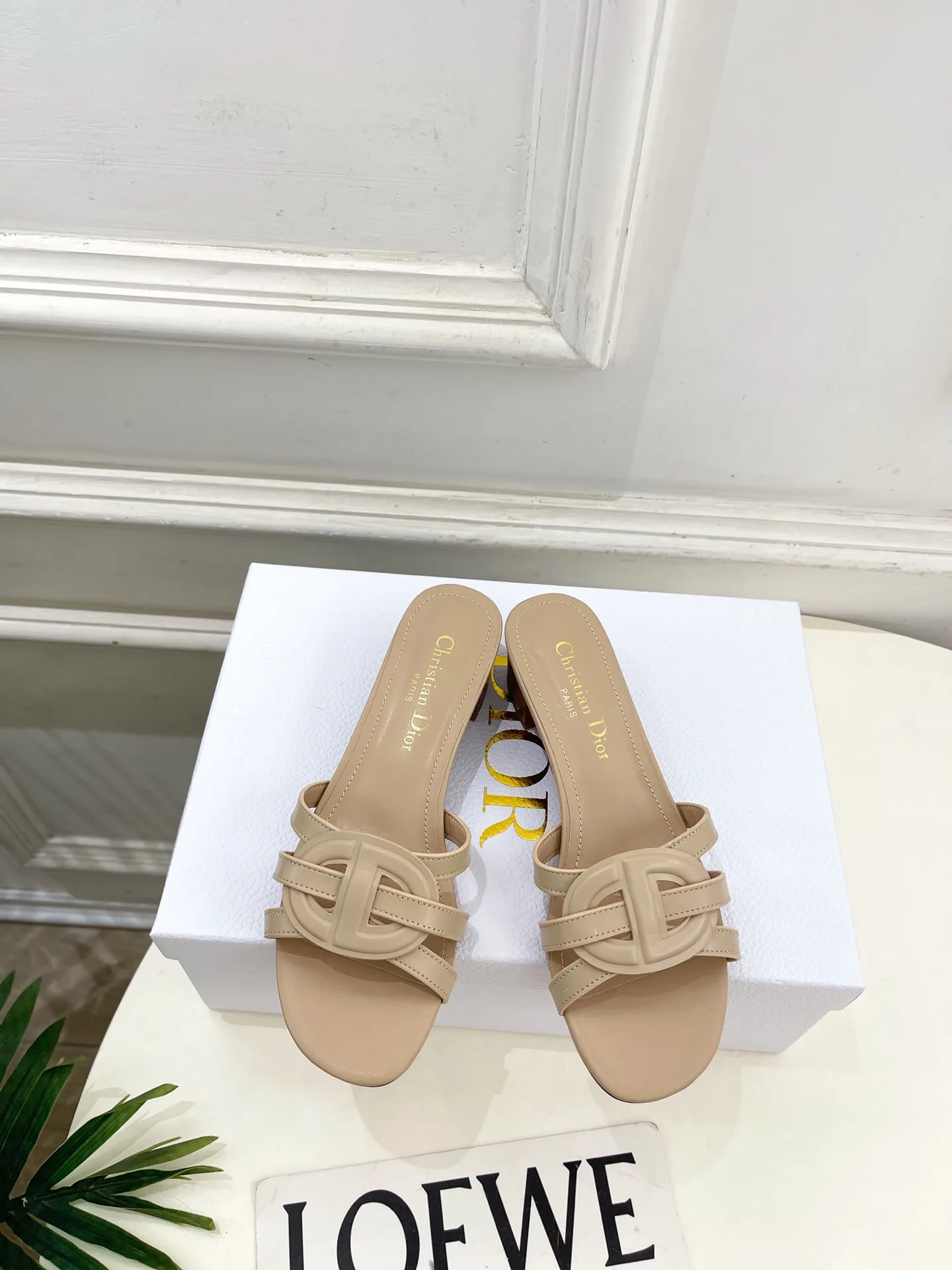 Туфли Женские Christian Dior 12601463