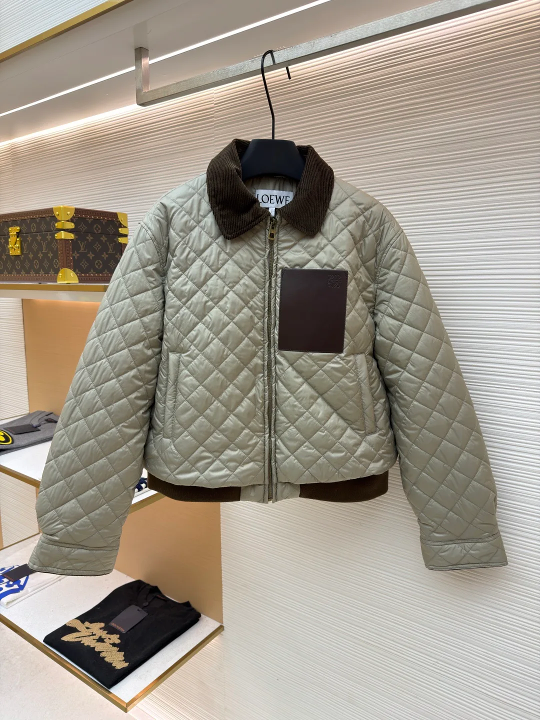 Куртки И Пуховики Женские Loewe 5380430