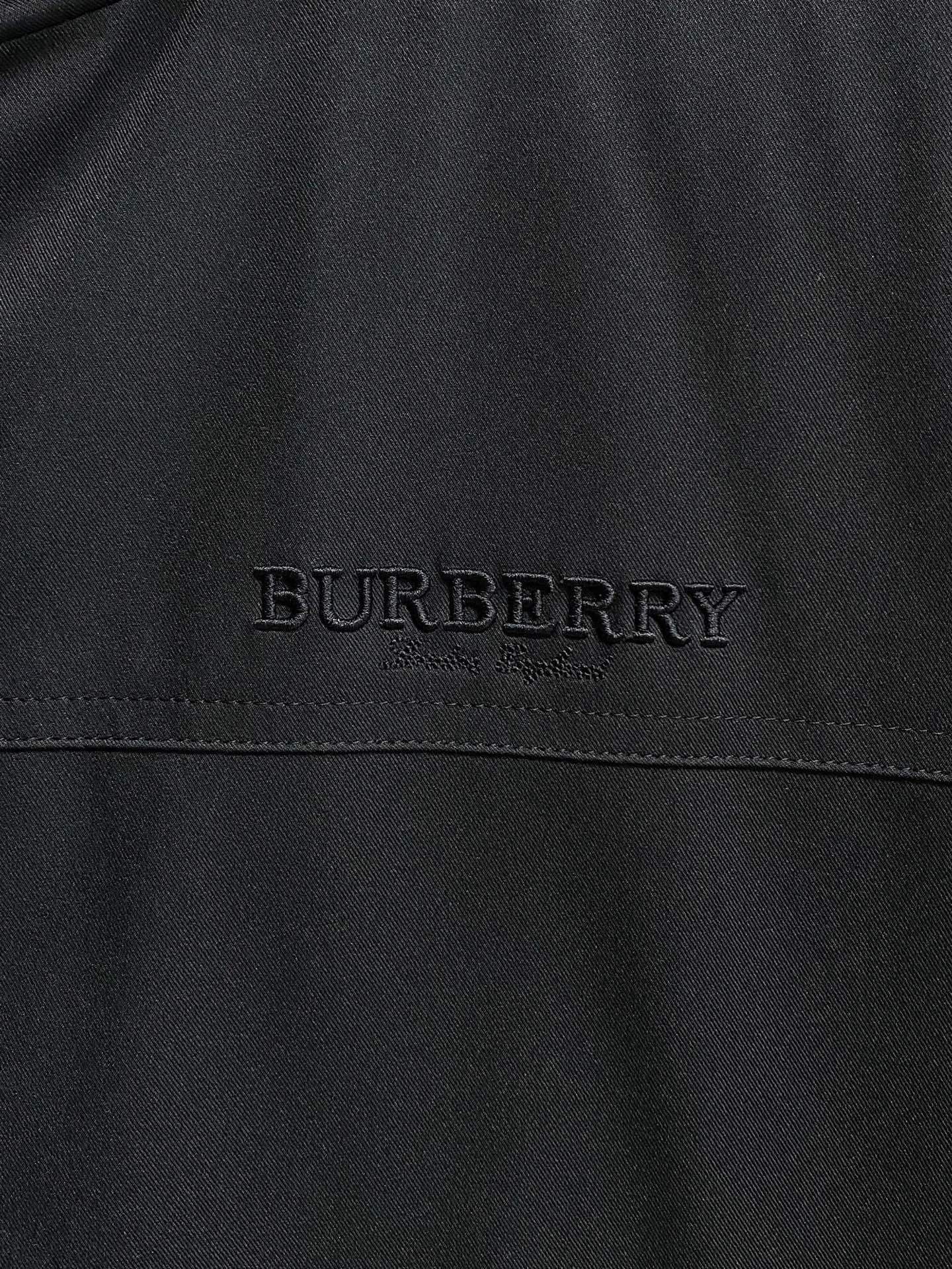 Куртки И Пуховики Мужские Burberry 509792