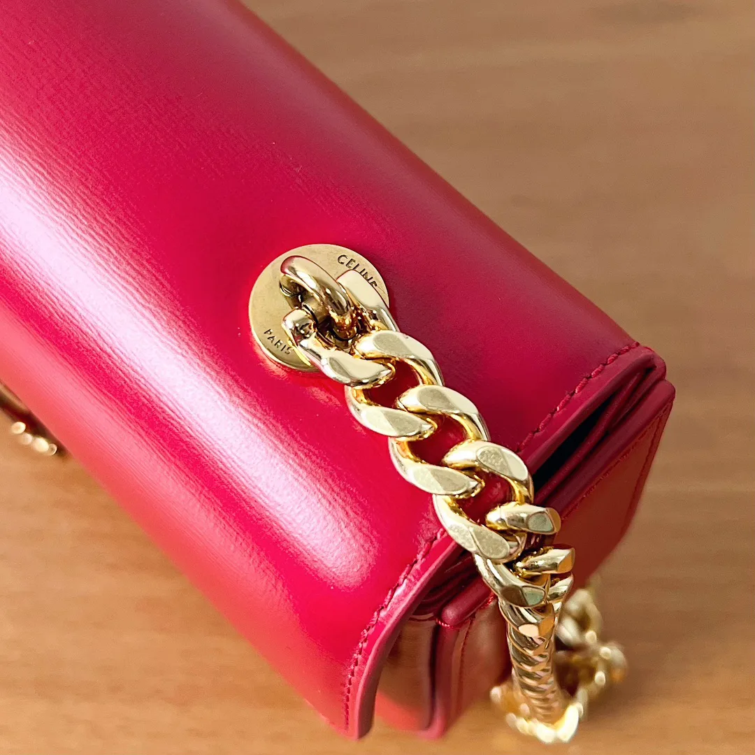 Сумки На Ремне Женские Celine 513907