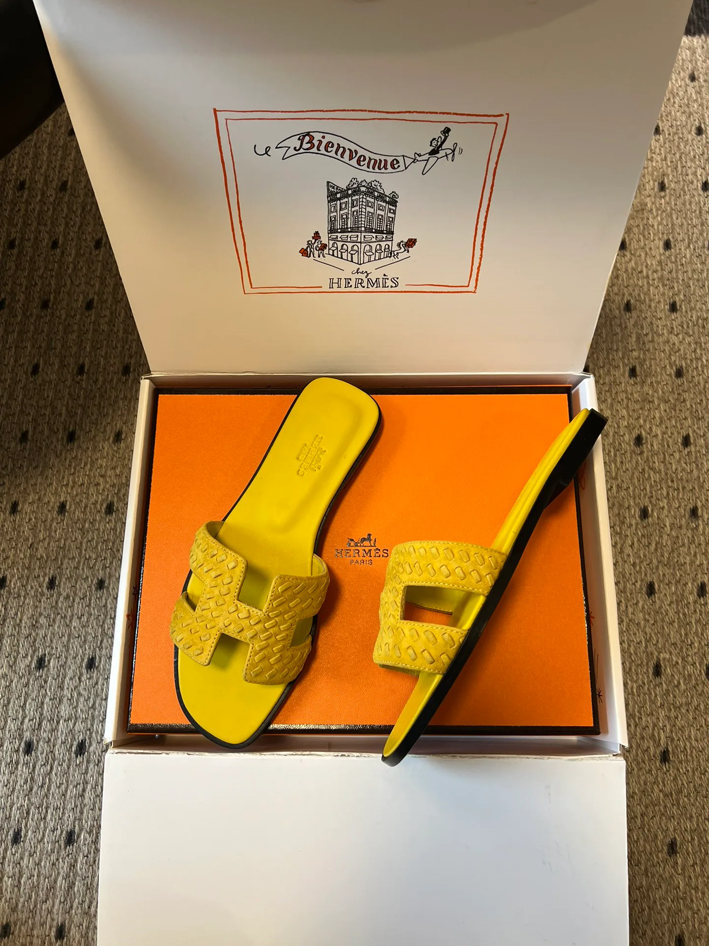 Шлепанцы Женские Hermes 10209526