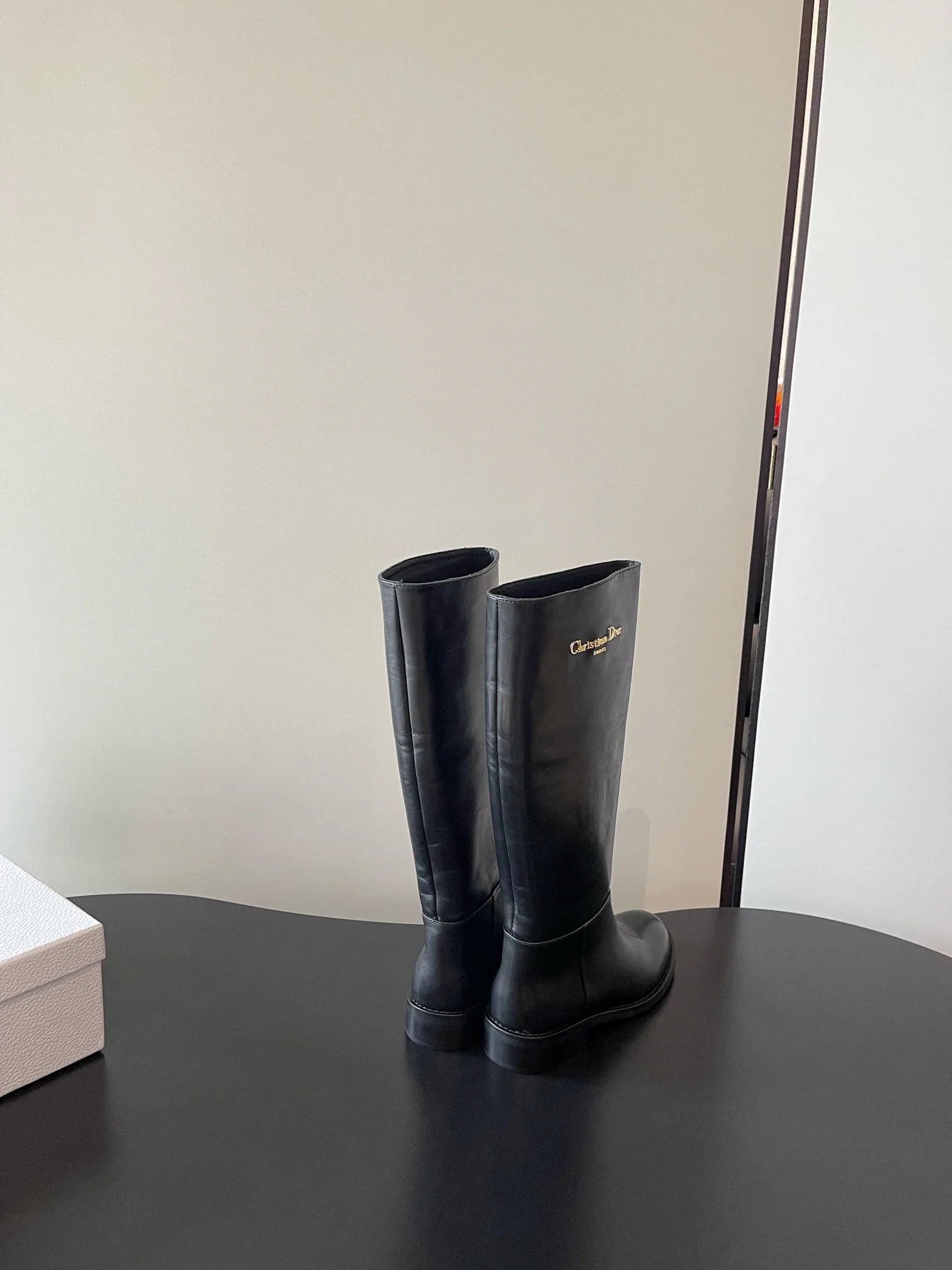 Сапоги Женские Christian Dior 1523289