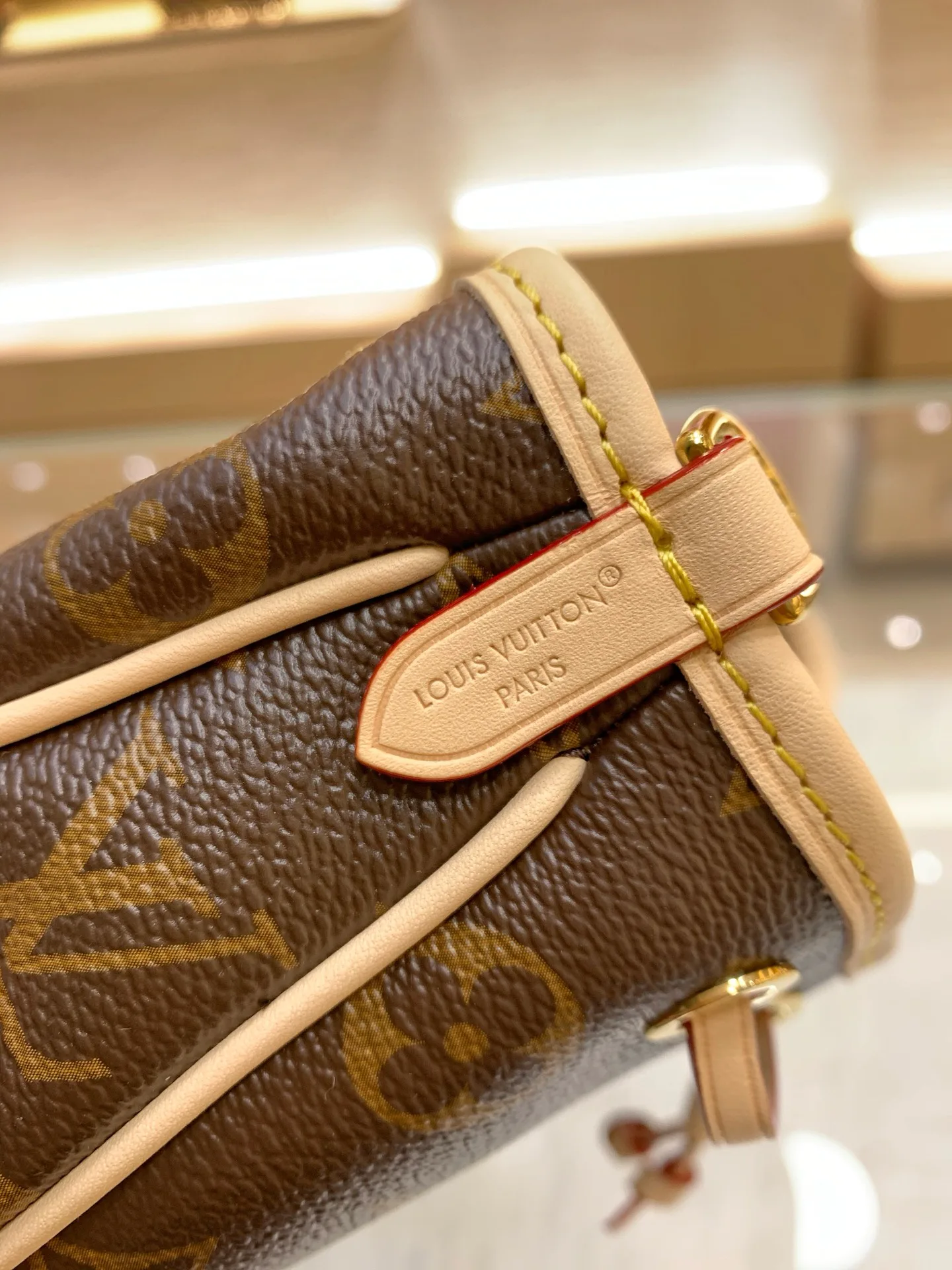 Классические Сумки Женские Louis Vuitton 17303176