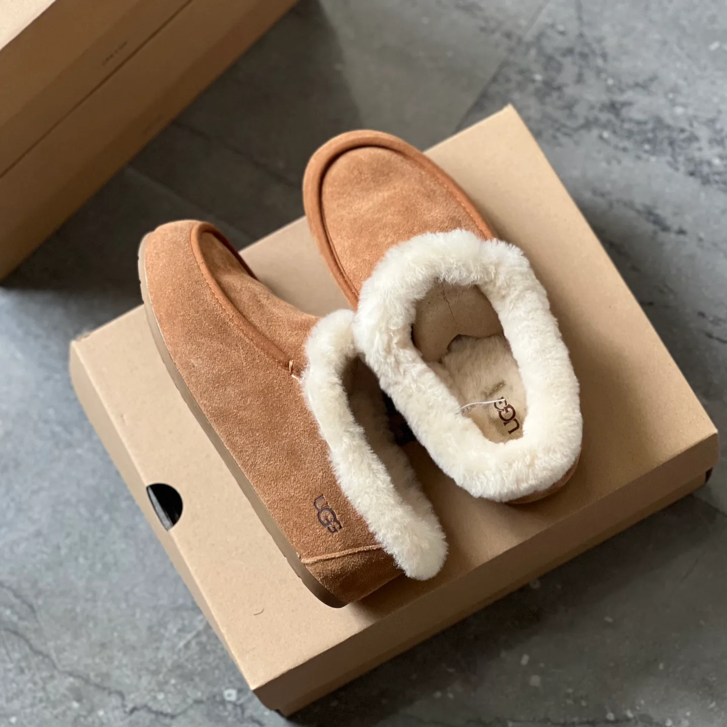 Угги Женские Ugg 500109