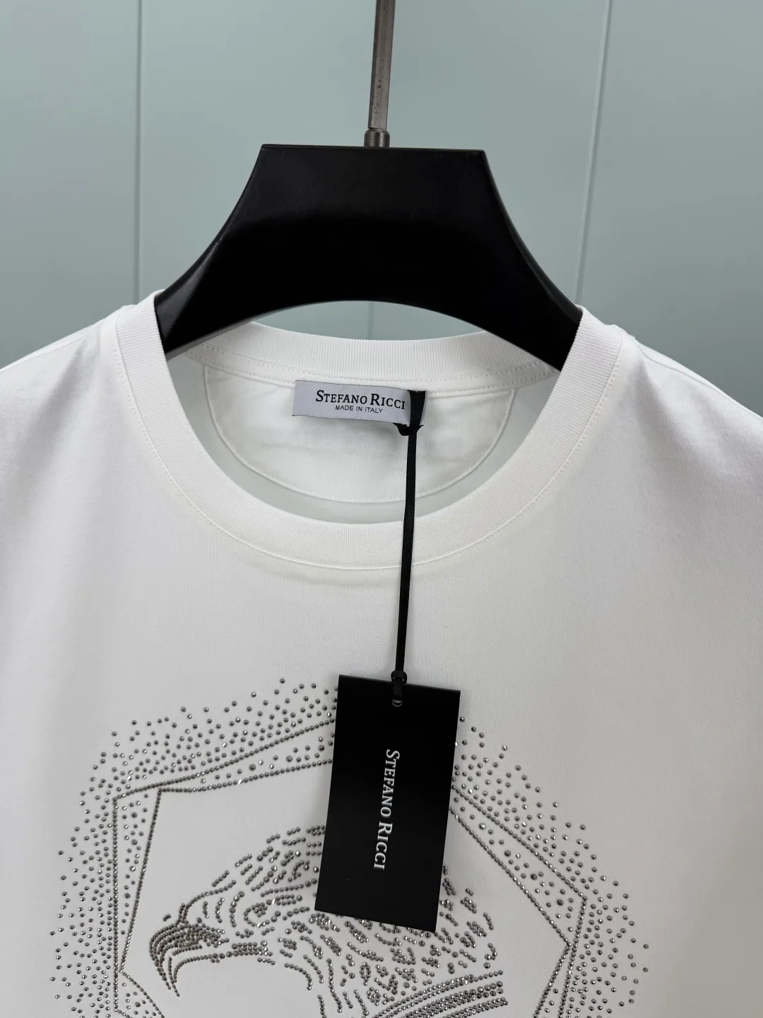 Футболки Мужские Stefano Ricci 8914813