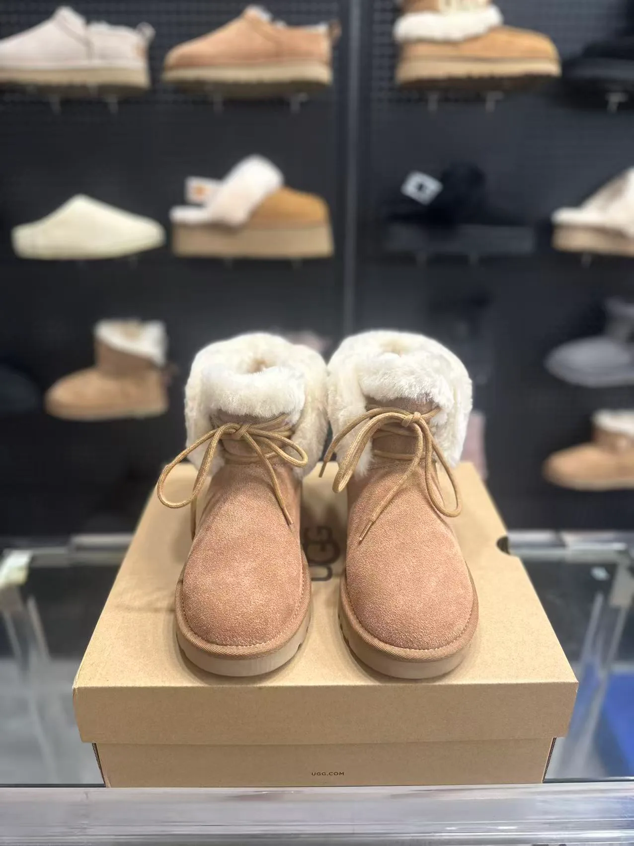 Угги Женские Ugg 153745