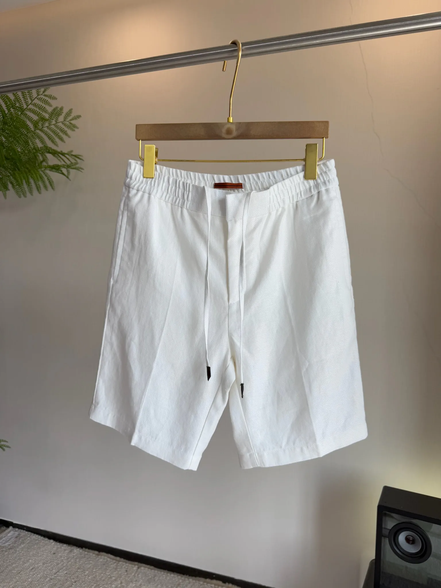 Шорты Мужские Zegna 11602440