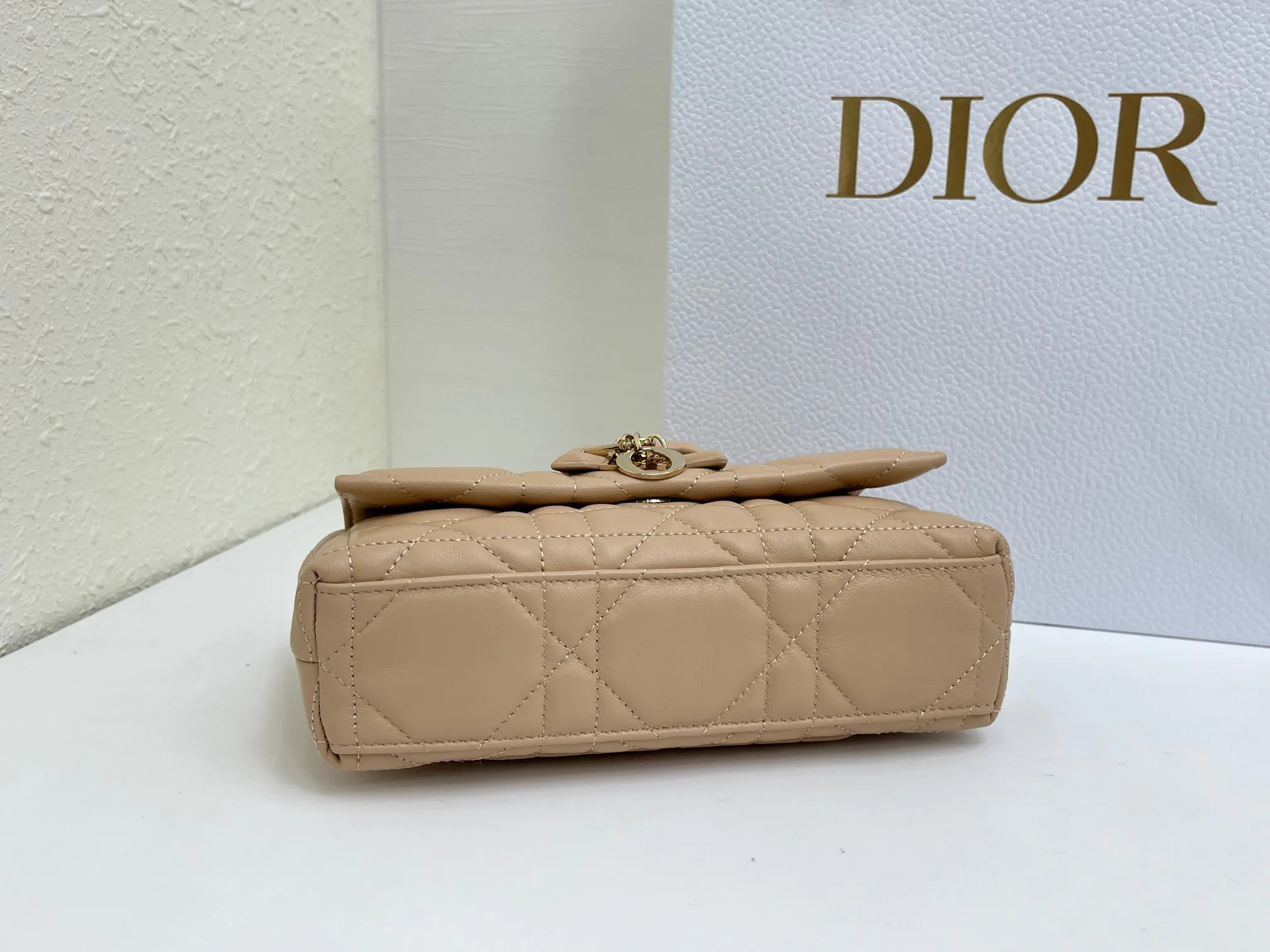 Классические Сумки Женские Christian Dior 17463901