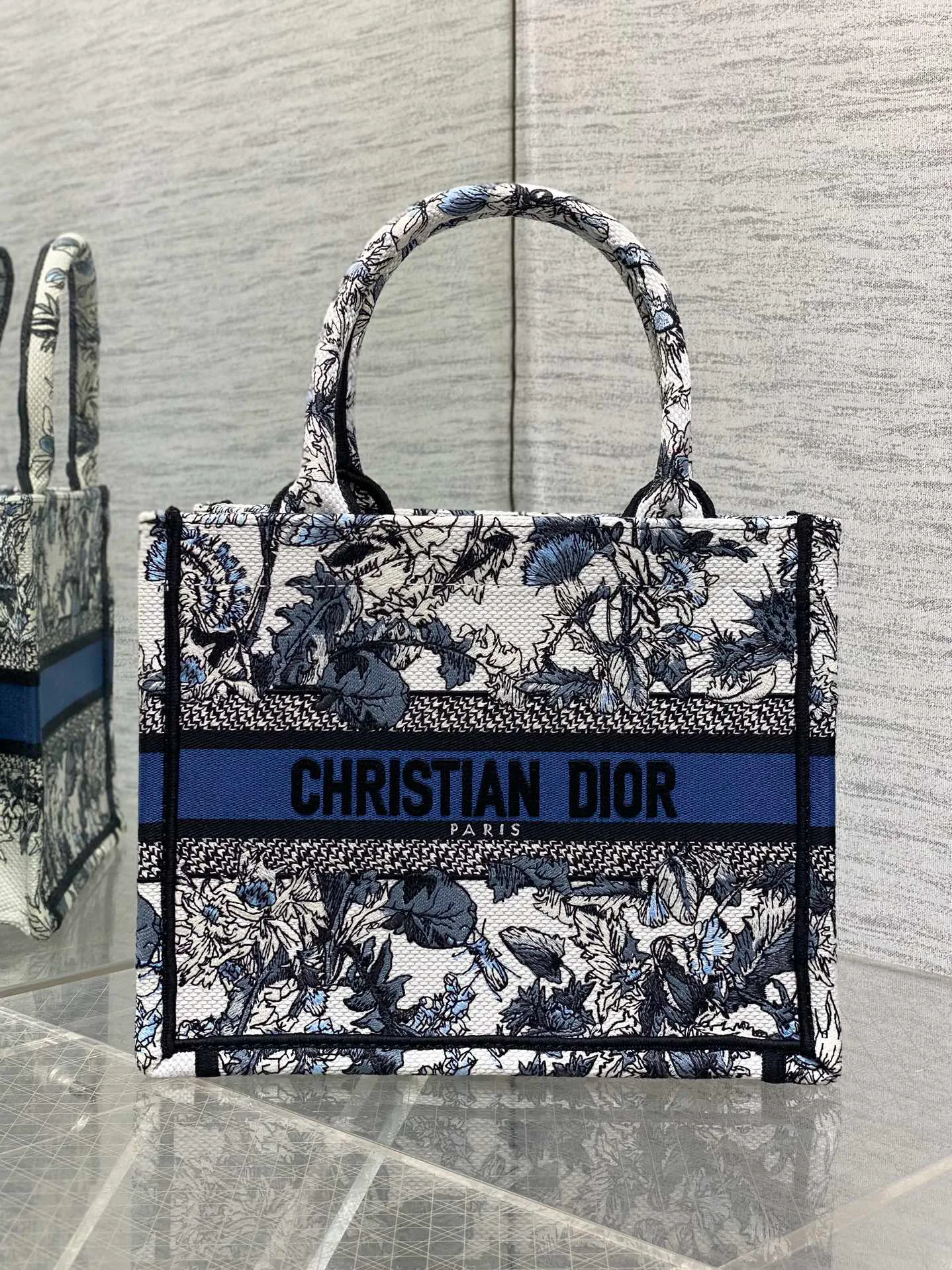 Классические Сумки Женские Christian Dior 13227202