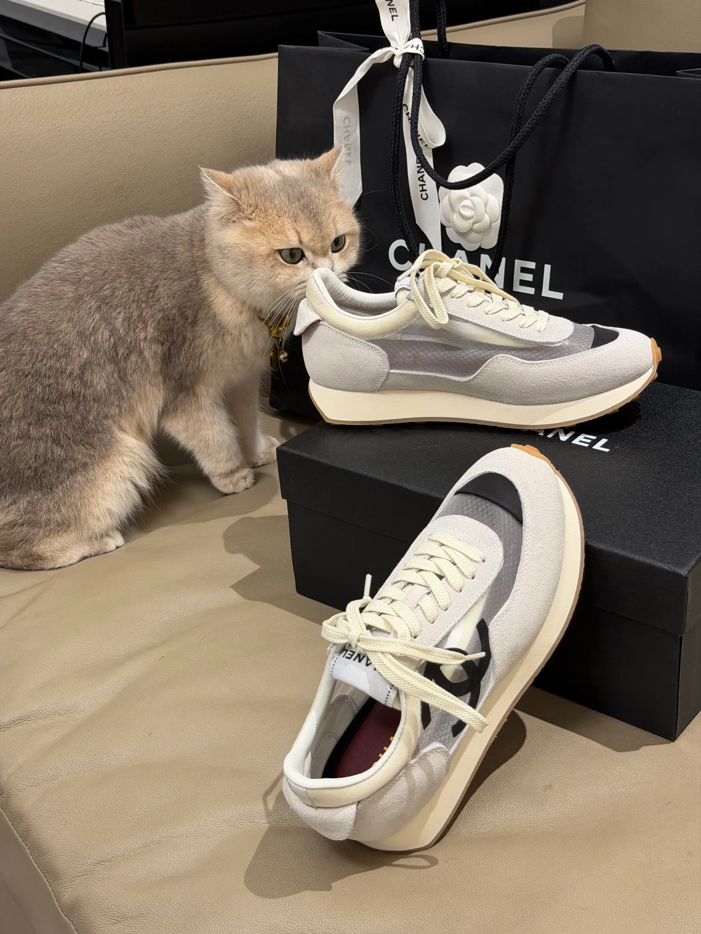 Кроссовки Женские Chanel 11388911