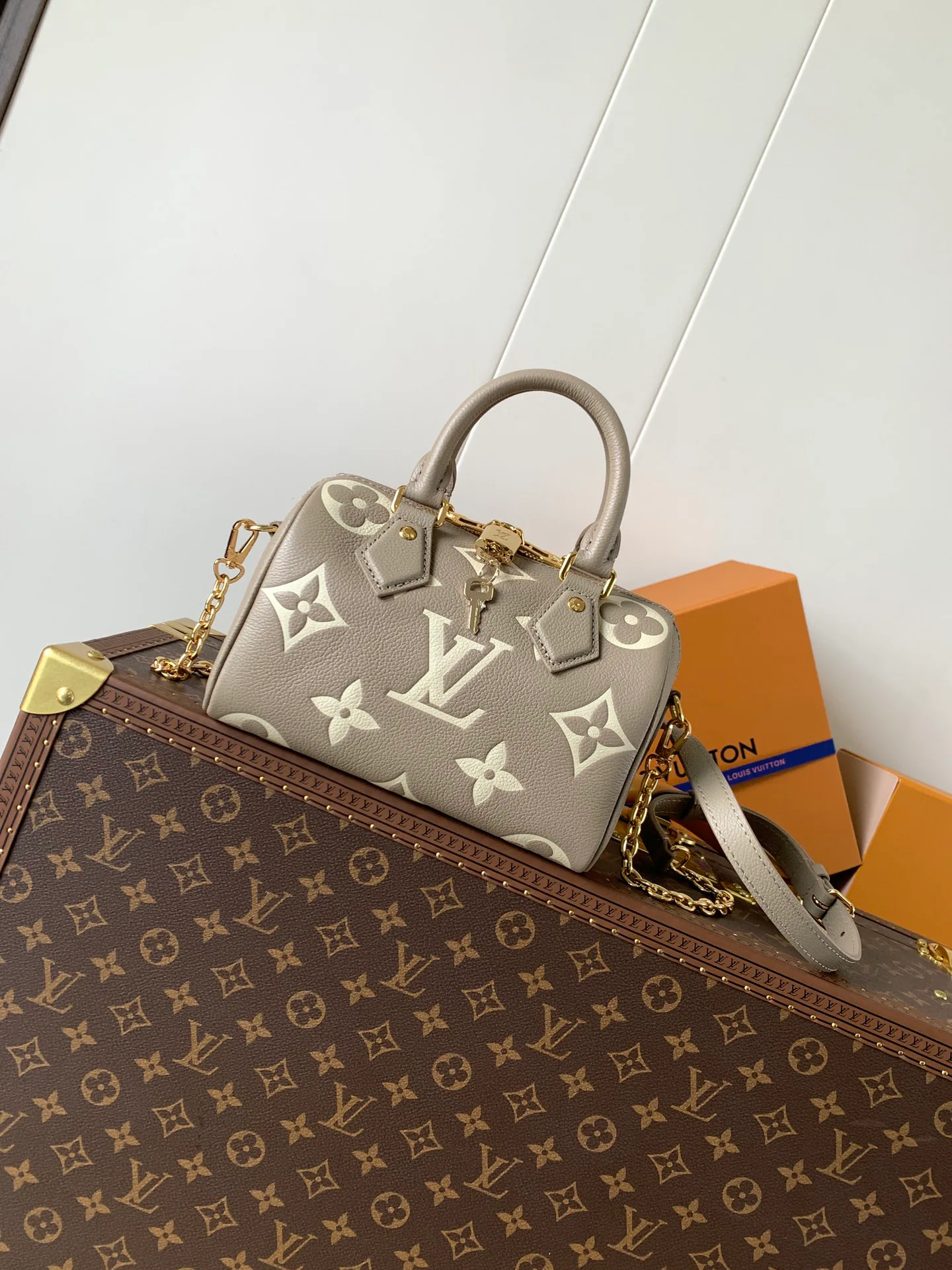 Классические Сумки Женские Louis Vuitton 11488625