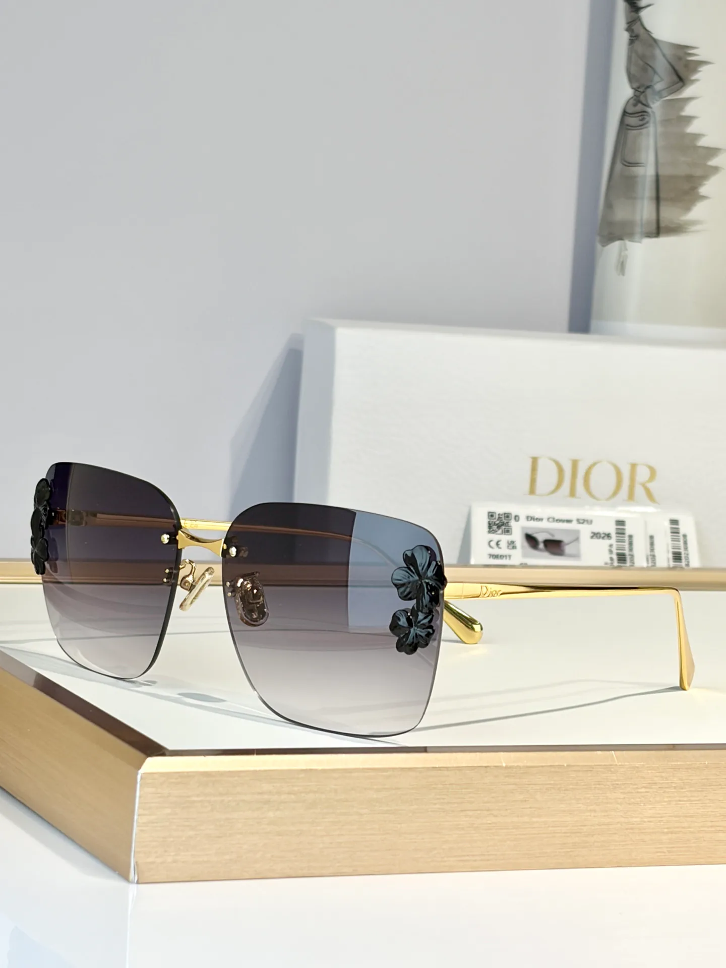 Очки Christian Dior 13257205